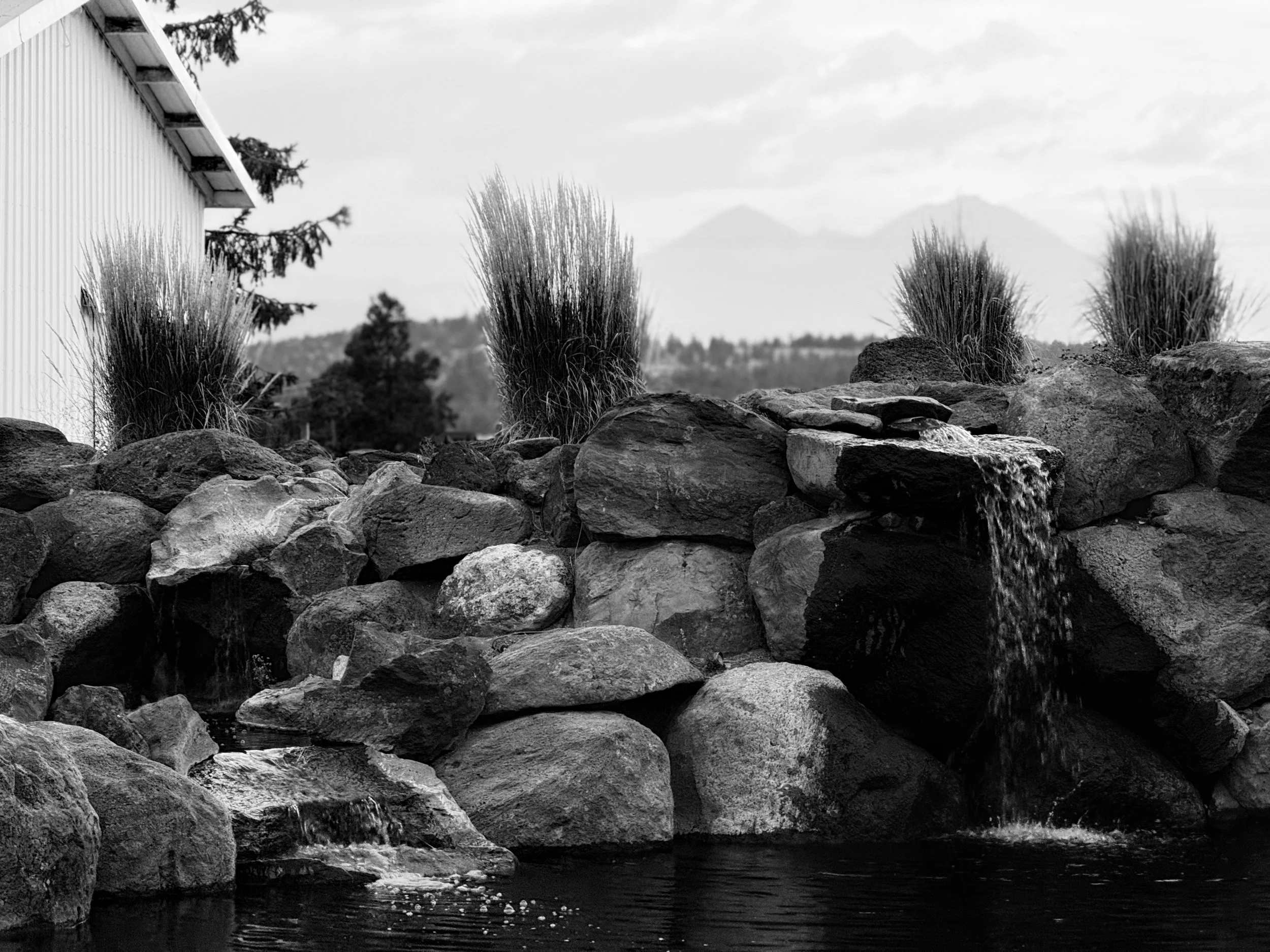 Photo Sep 02 2025, 7 39 53 PM.jpg