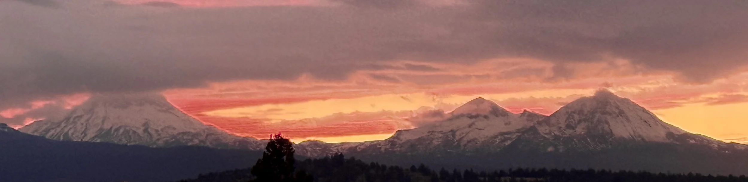 Photo Nov 18 2025, 4 52 04 PM.jpg