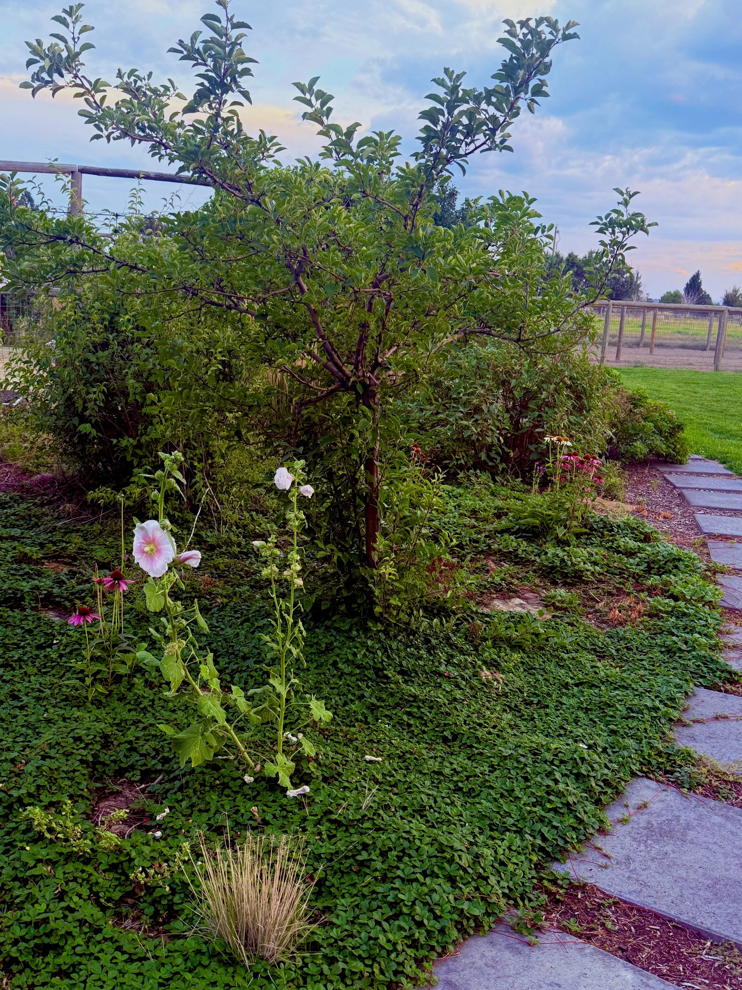 Photo Sep 02 2025, 7 28 00 PM.jpg