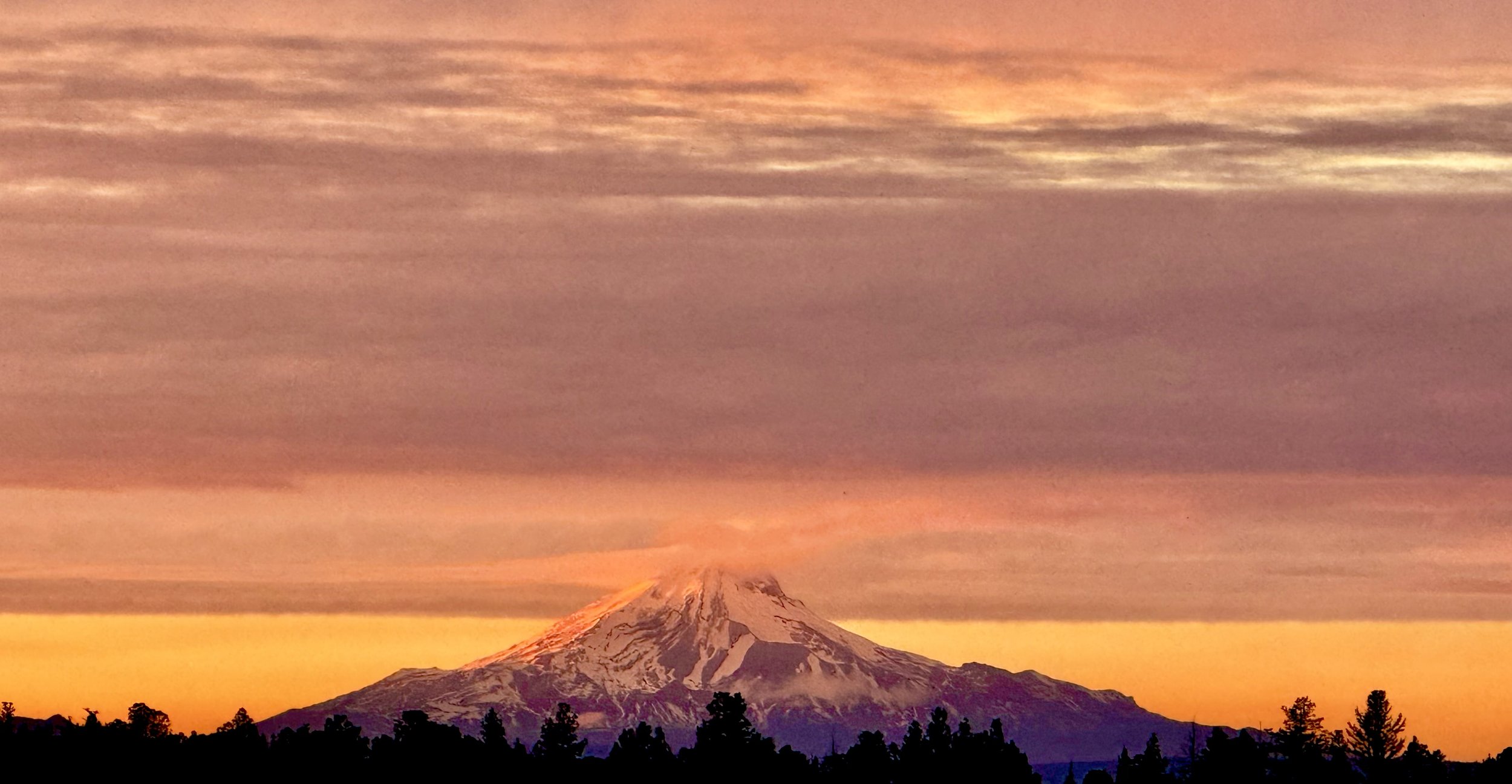 Photo Nov 18 2025, 4 36 38 PM.jpg