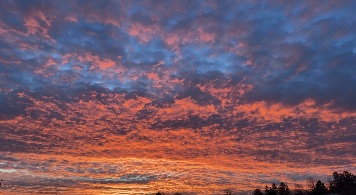 Photo Feb 23 2026, 10 45 01 AM (2).jpg