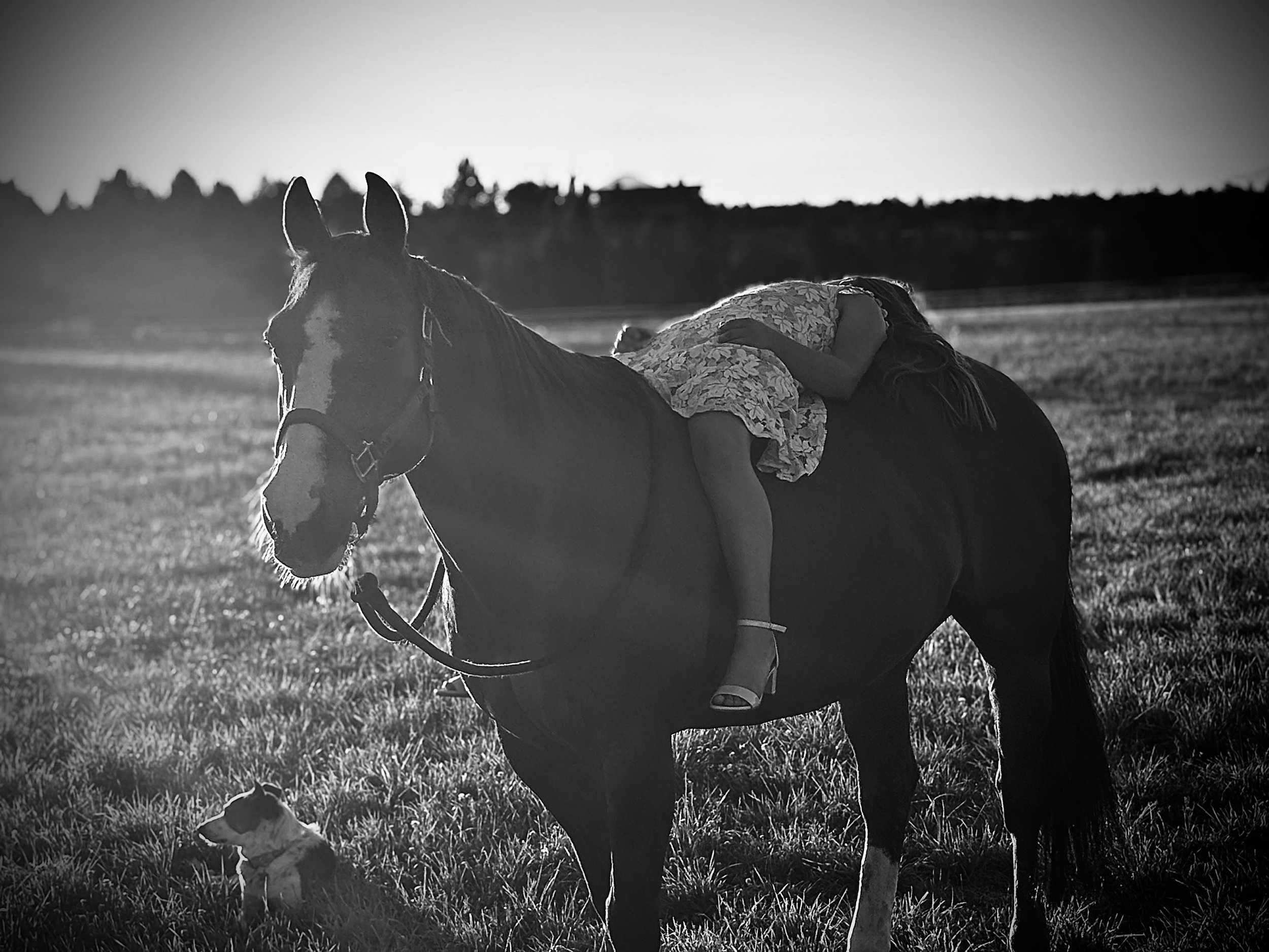 Photo Aug 12 2025, 7 53 20 PM.jpg