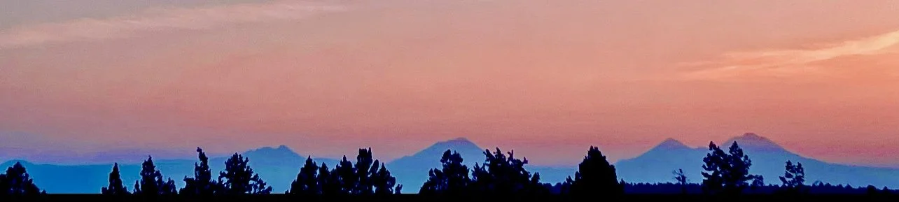 Photo Feb 23 2026, 10 45 01 AM.jpg