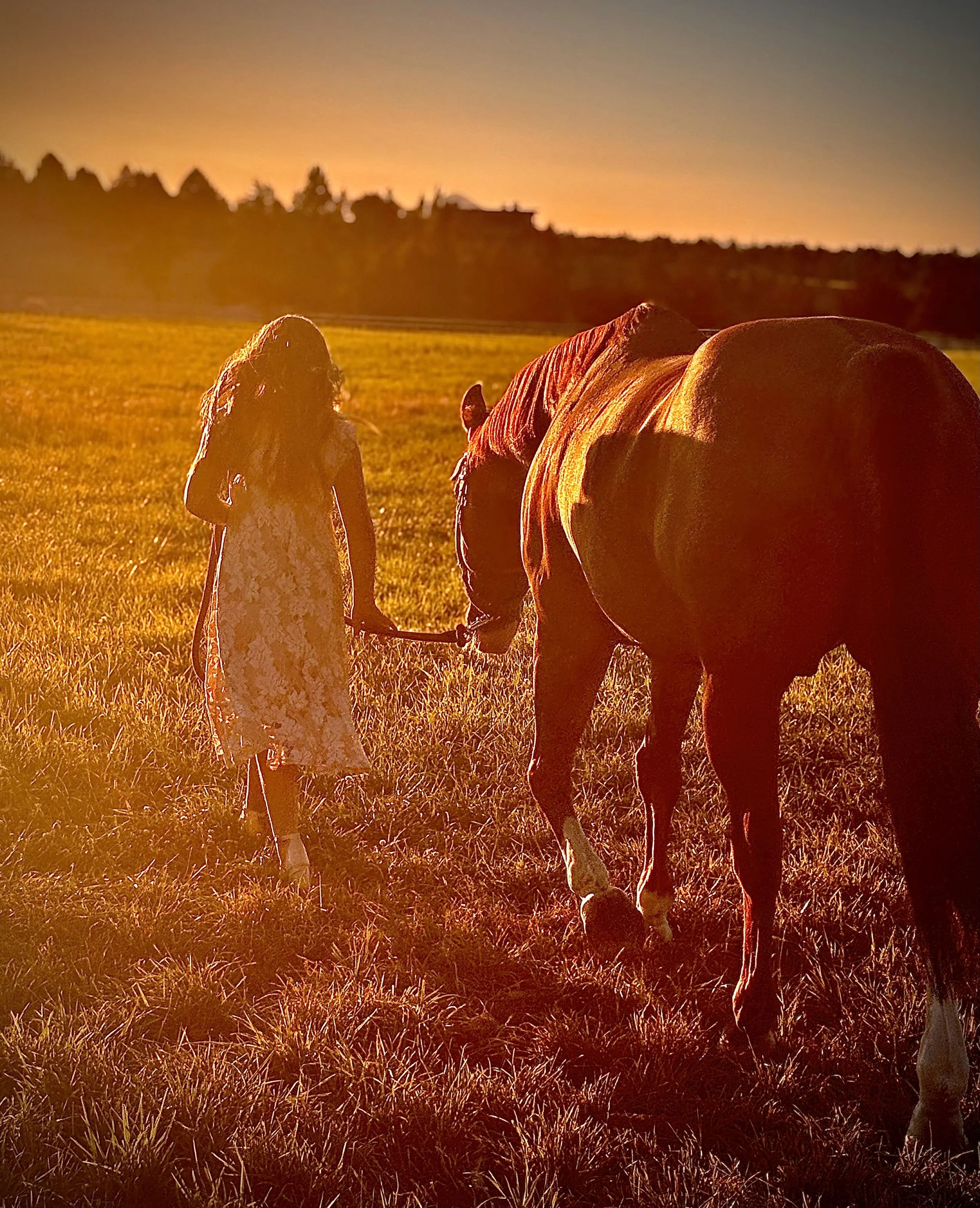 Photo Aug 12 2025, 7 46 10 PM.jpg