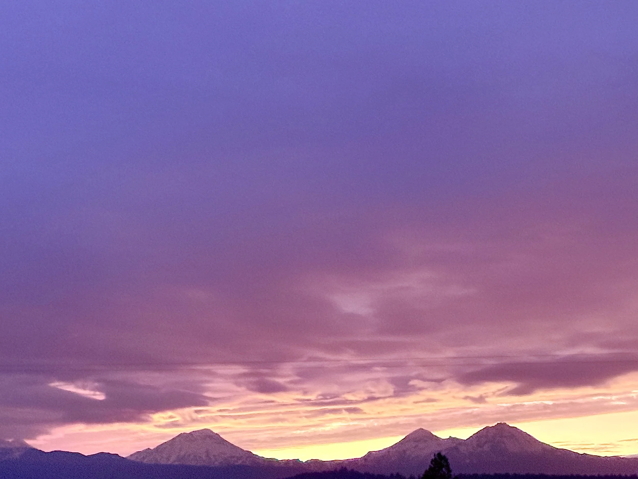 Photo Nov 18 2025, 5 06 08 PM.jpg