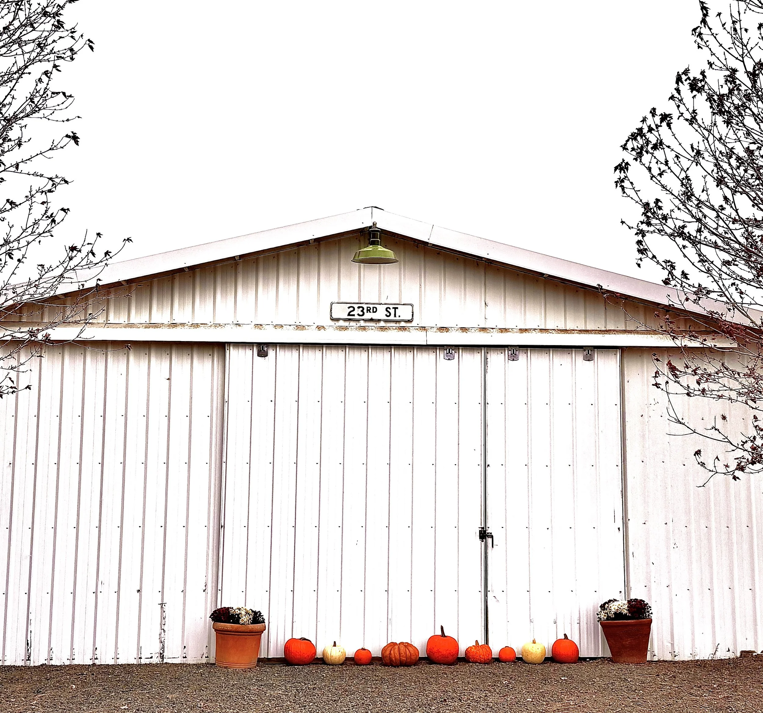 Photo Oct 25 2025, 10 55 42 AM.jpg