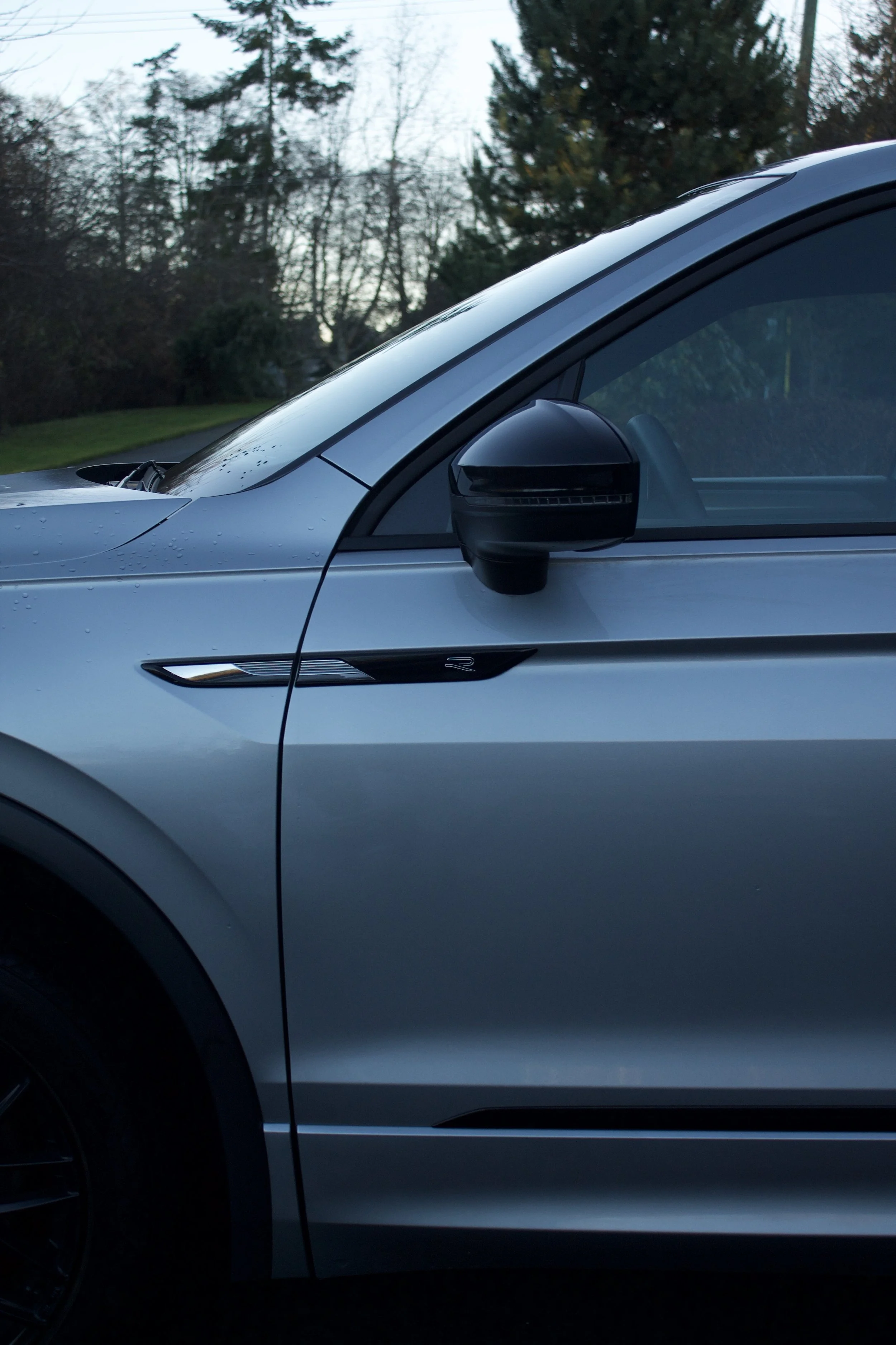 Close-up of a freshly detailed silver luxury car, focusing on the front left side including the side mirror, door handle, and part of the window, with a background of trees and a cloudy sky.