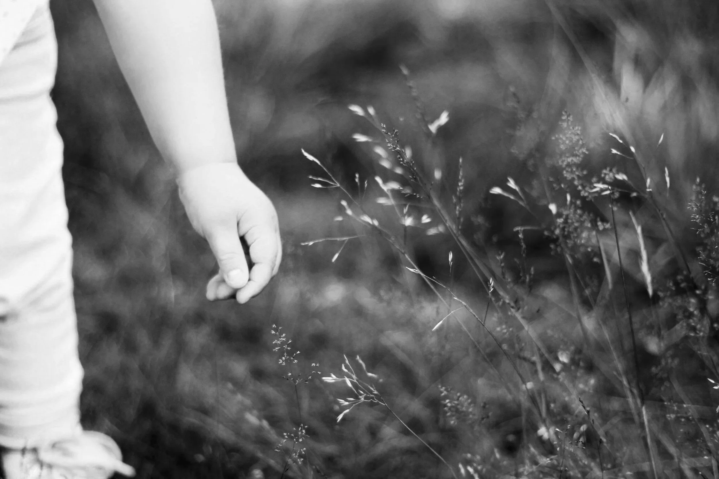 Close-up of a person's hand with the index finger extended, near tall grass or wild plants in a natural outdoor setting, in black and white.