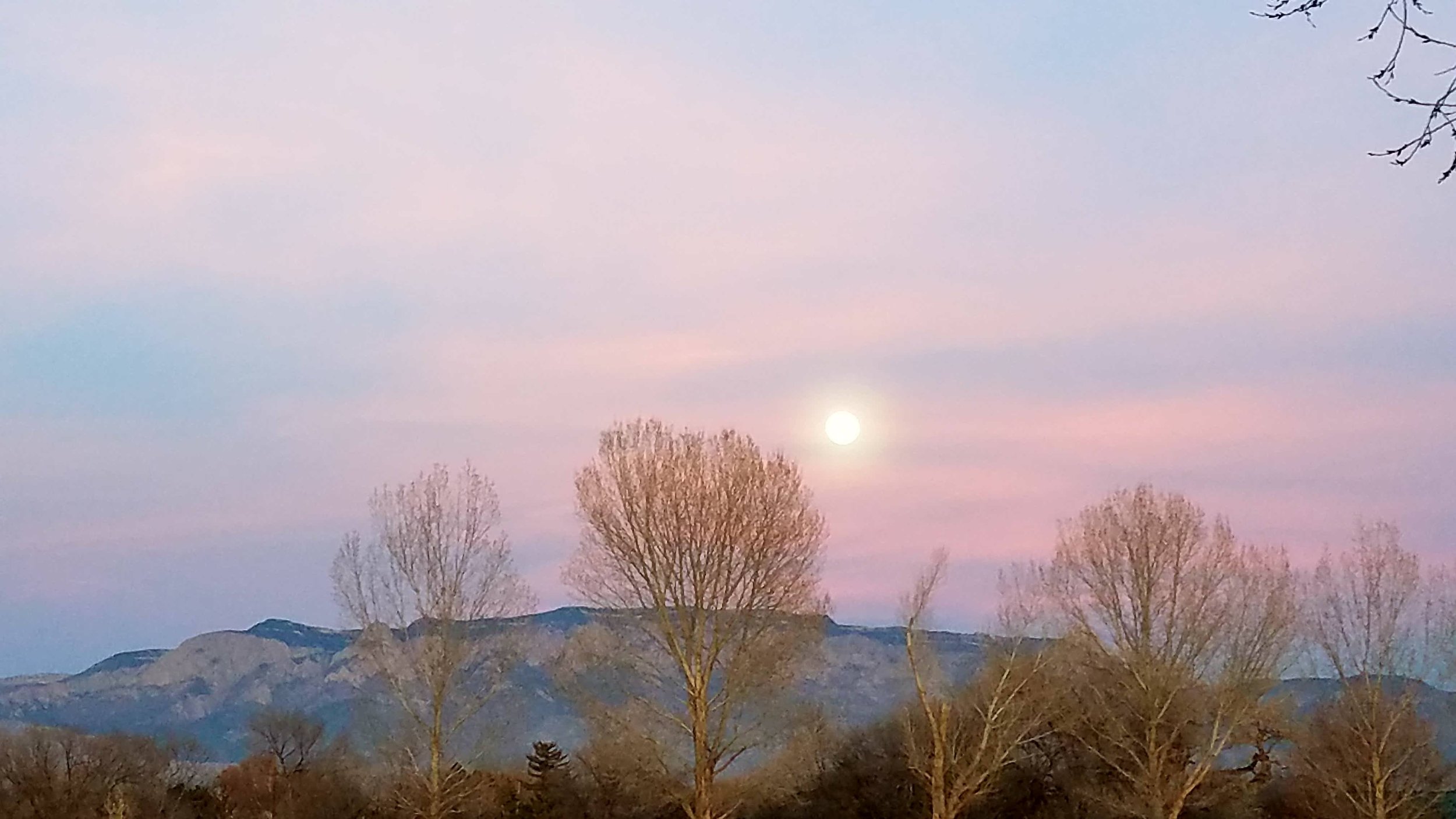 A landscape scene with leafless trees, mountainous background, and a bright full moon in a pastel-colored sky at dusk or dawn.