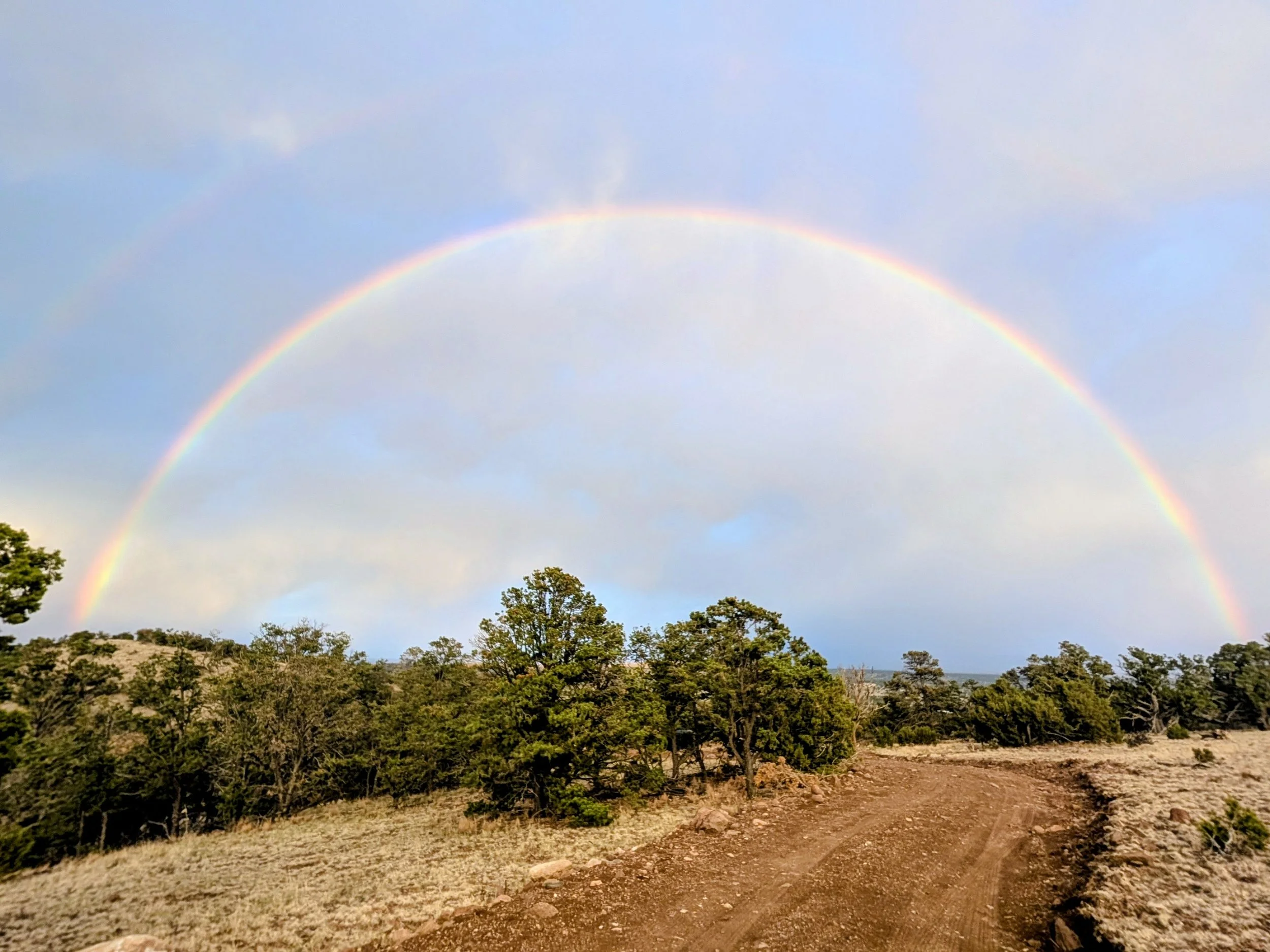 A rainbow arching over a dirt road in a grassy, forested landscape under a partly cloudy sky.