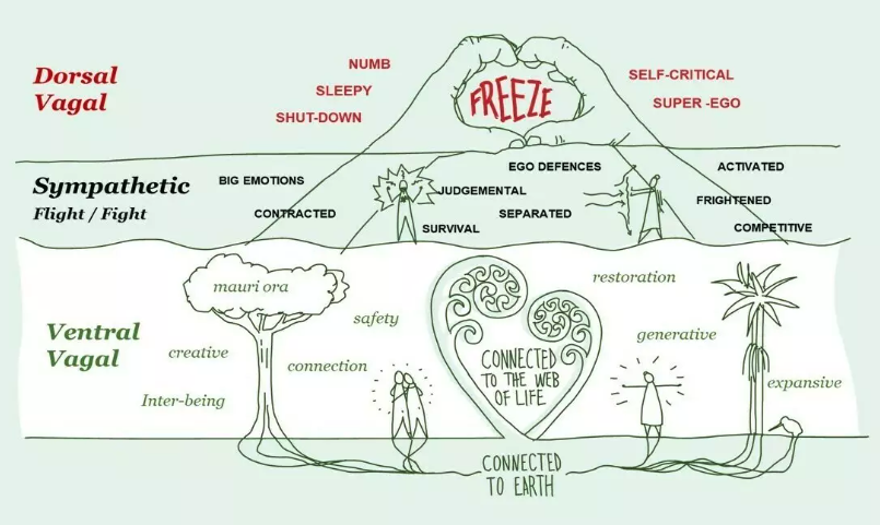 Working with our central nervous system/s