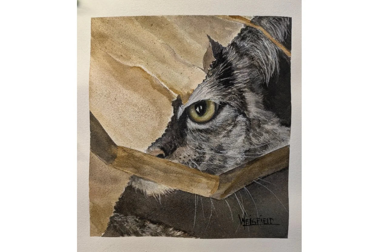 Gayle Weisfield #6