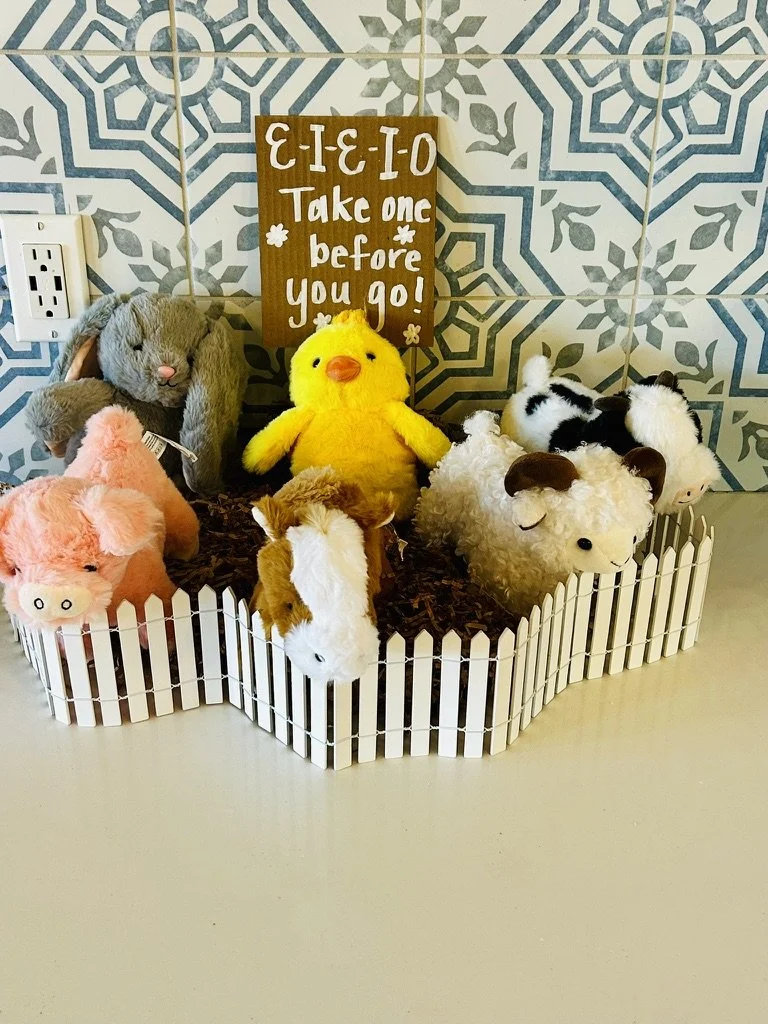 first birthday party favor petting zoo adopt a pet