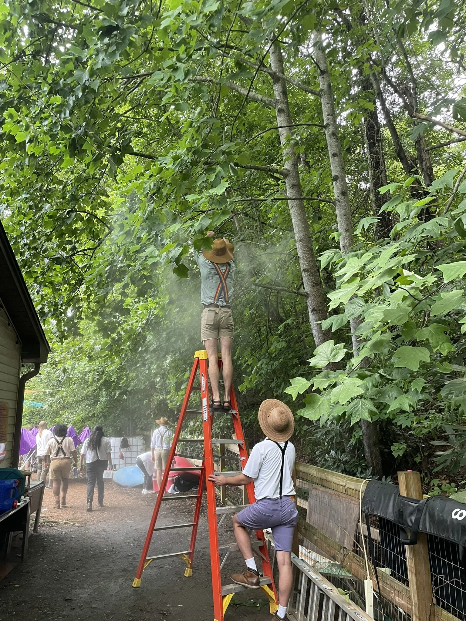 Two men, one on an orange ladder trimming or cutting tree branches, and the other holding the ladder steady. They are volunteering for an outdoor music festival, helping to co-create this community powered event in Asheville NC