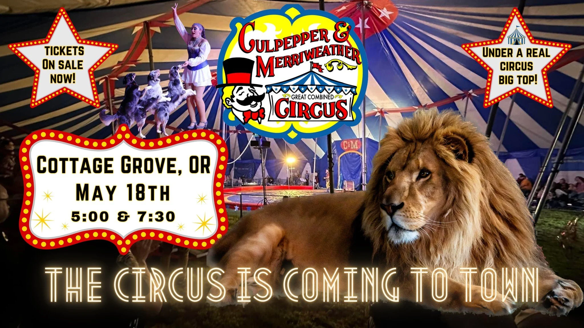C&M Circus Big Top Experience Comes to Cottage Grove