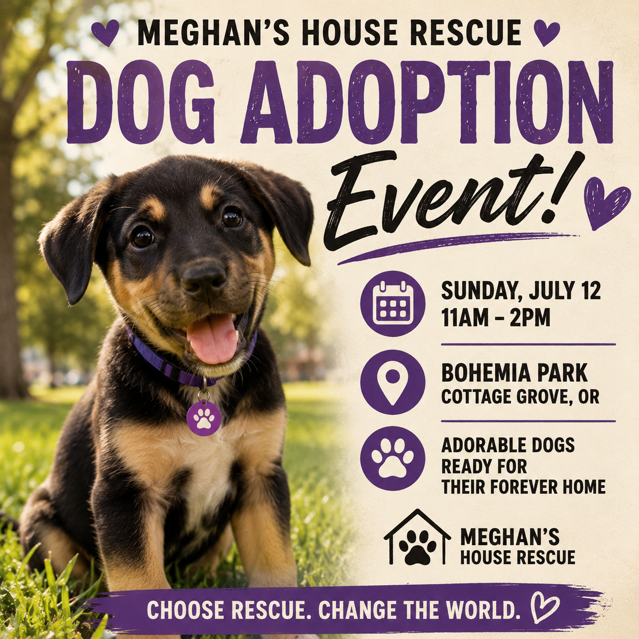 Rescue Dog Adoption Event with Meghan's House Rescue
