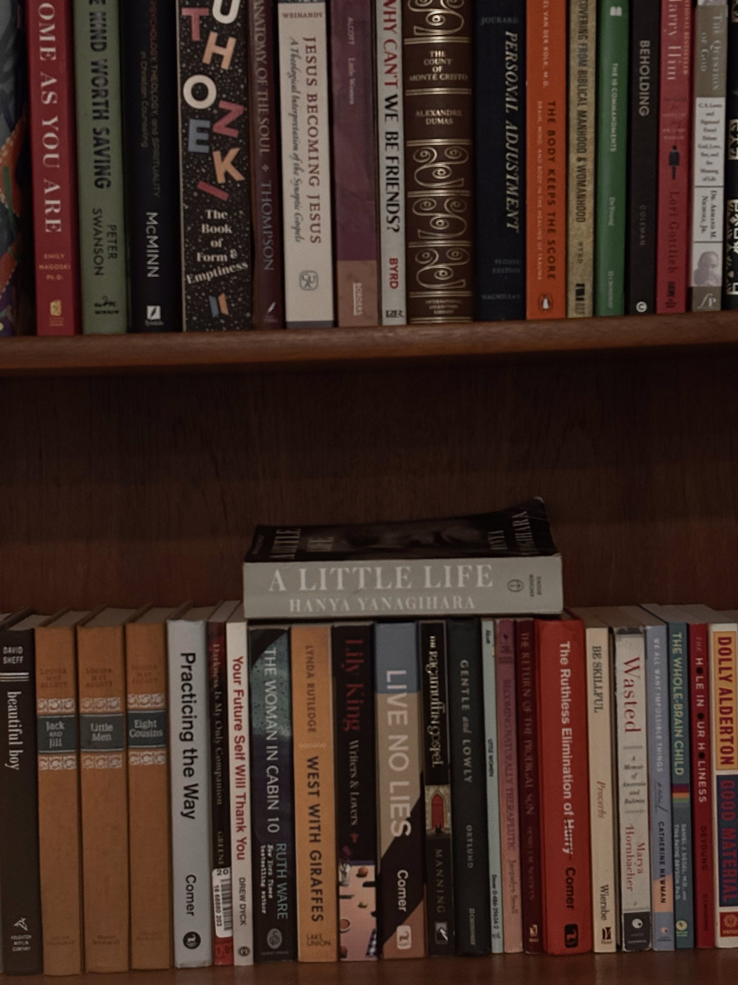 Bookshelves with a variety of books, including 'A Little Life' by Hanya Yanagihara on the lower shelf and several other fiction and nonfiction titles on the upper shelf.