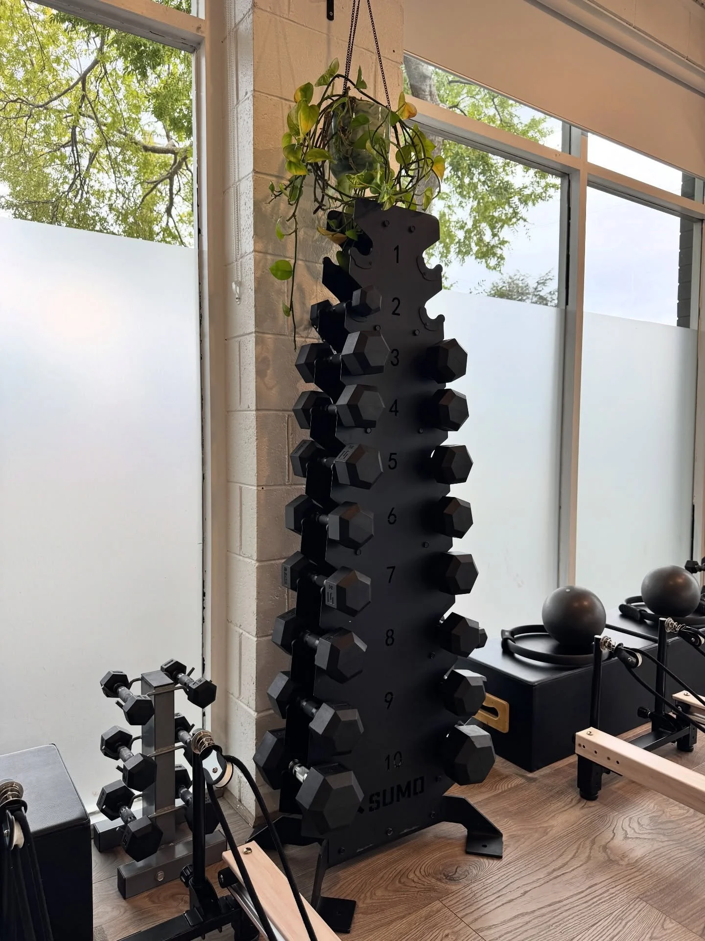 Some of our favourite things in the studio 🤩

From our self-serve station with deodorant, hair ties and cups (because we&rsquo;ve all forgotten a bottle before), to our dumbbell rack so you can choose what feels right for your body that day.

Enjoy 