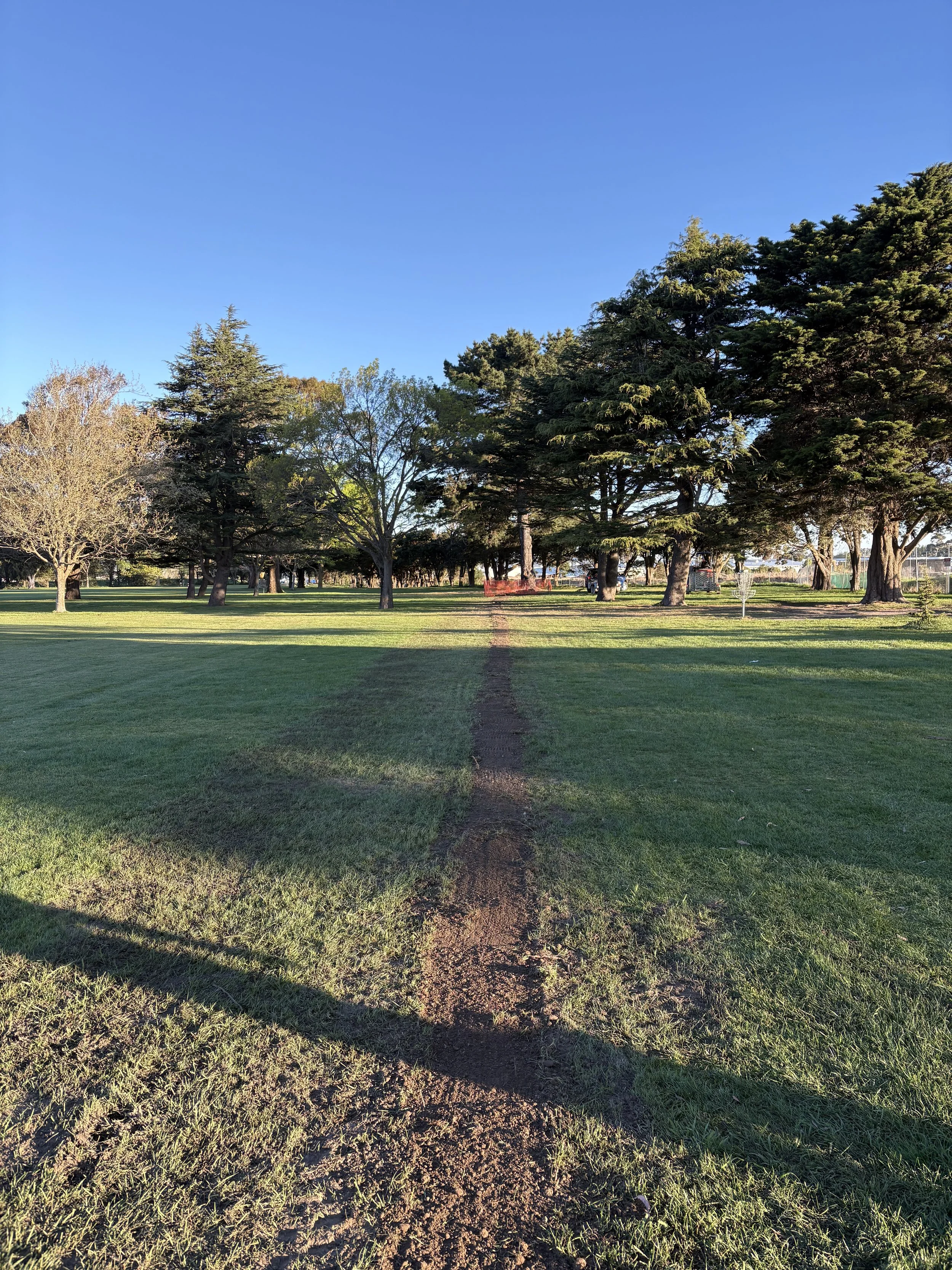 A park with a dirt path running through green grass, surrounded by various trees under a clear blue sky.