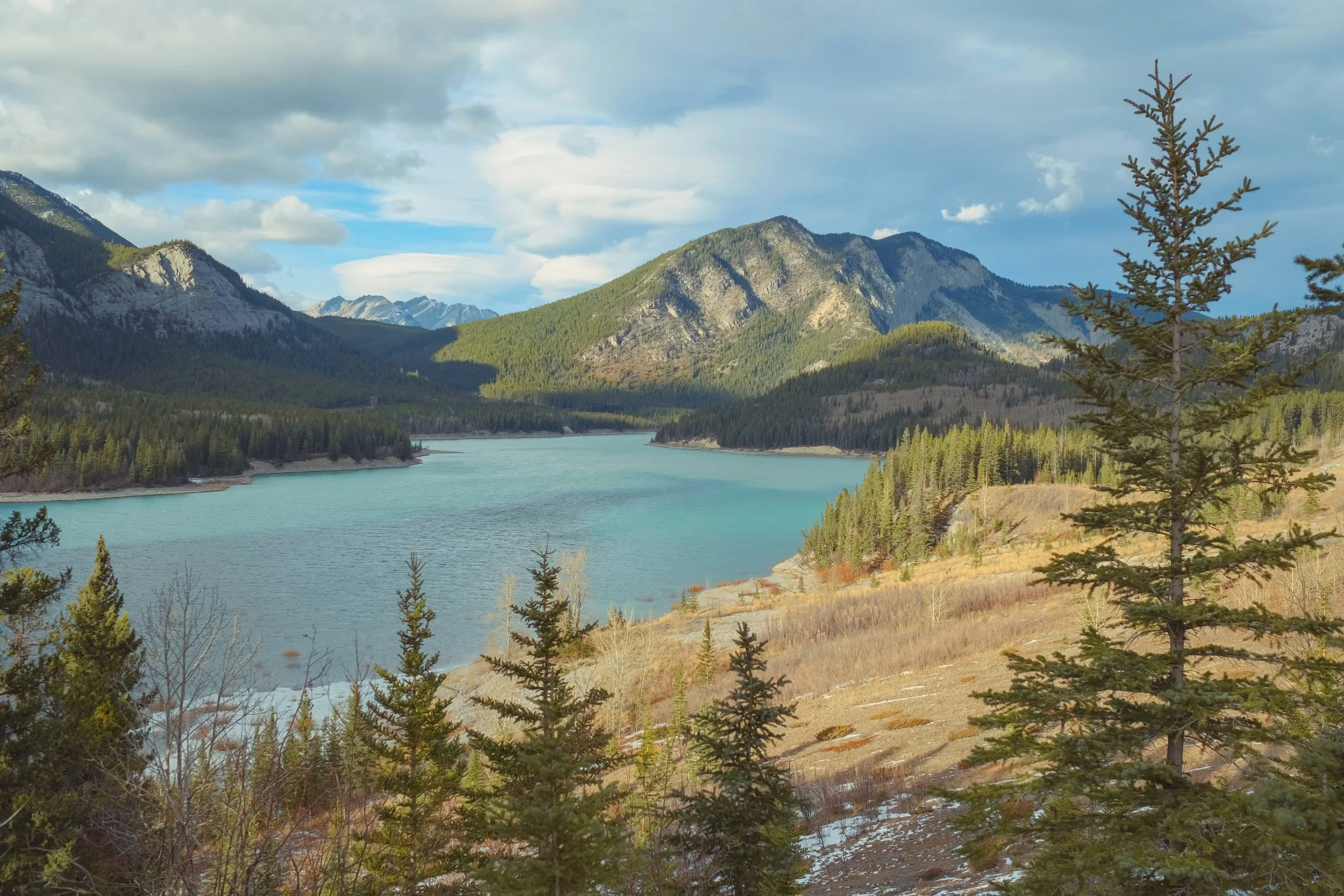 kananaskis surveys