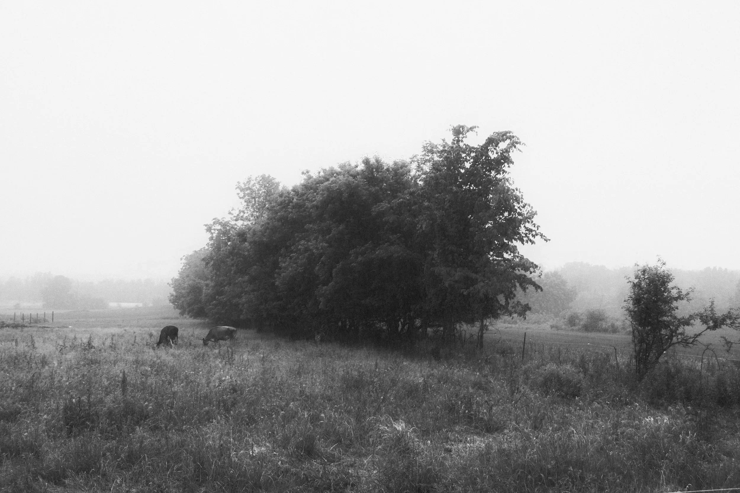 2022_0607_19290400~2 (1).jpg