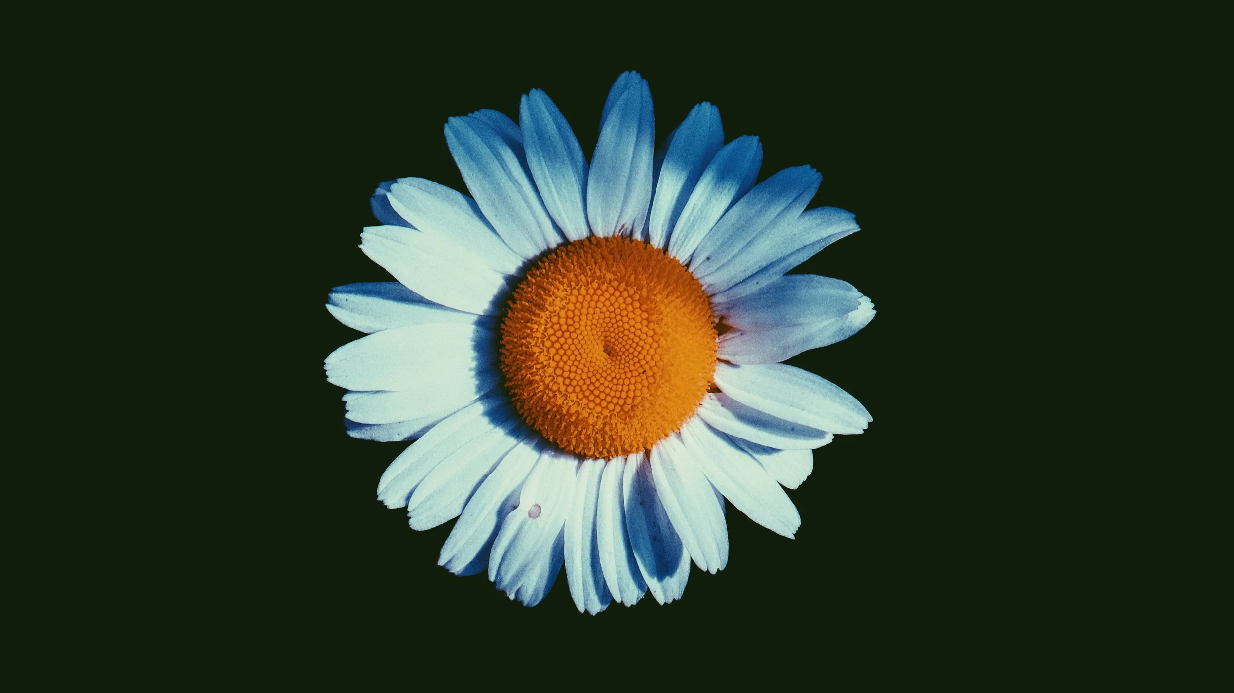 Contours of Light vol I