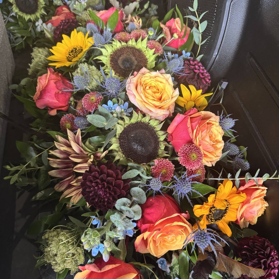 Untitled (Instagram Post)(19).png