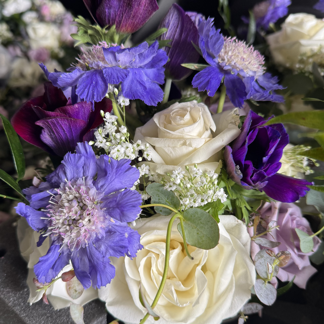 Untitled design (5).png