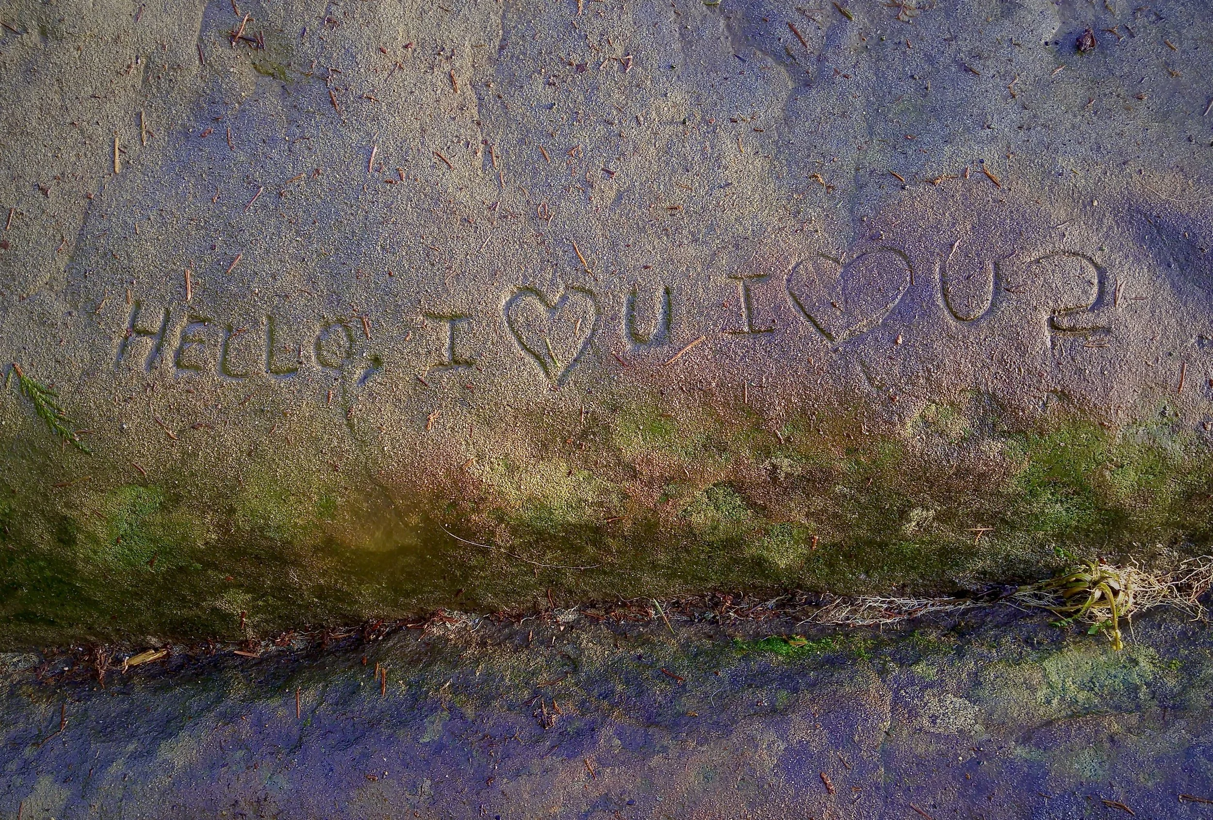 Message carved on a rock surface that says 'HELLO, I ♥ YOU' with some moss and small plants nearby.