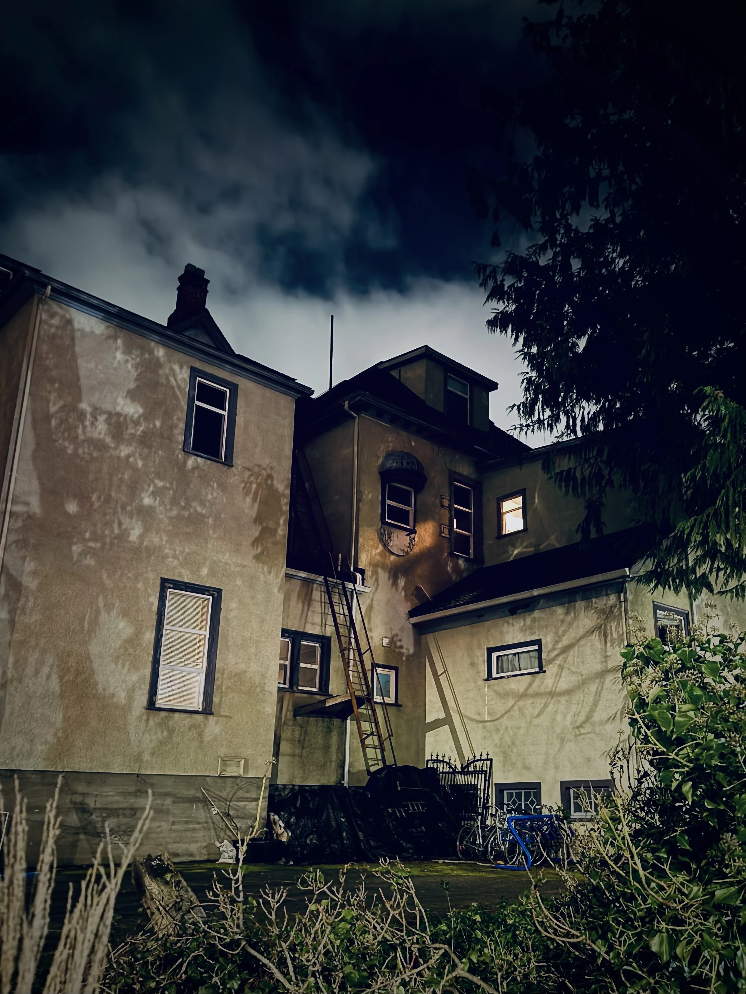 A multi-story house with a yellowish exterior, several windows, some open, and a fire escape ladder leaning against the wall. The sky above is dark and cloudy, and there are trees and bushes around the house.