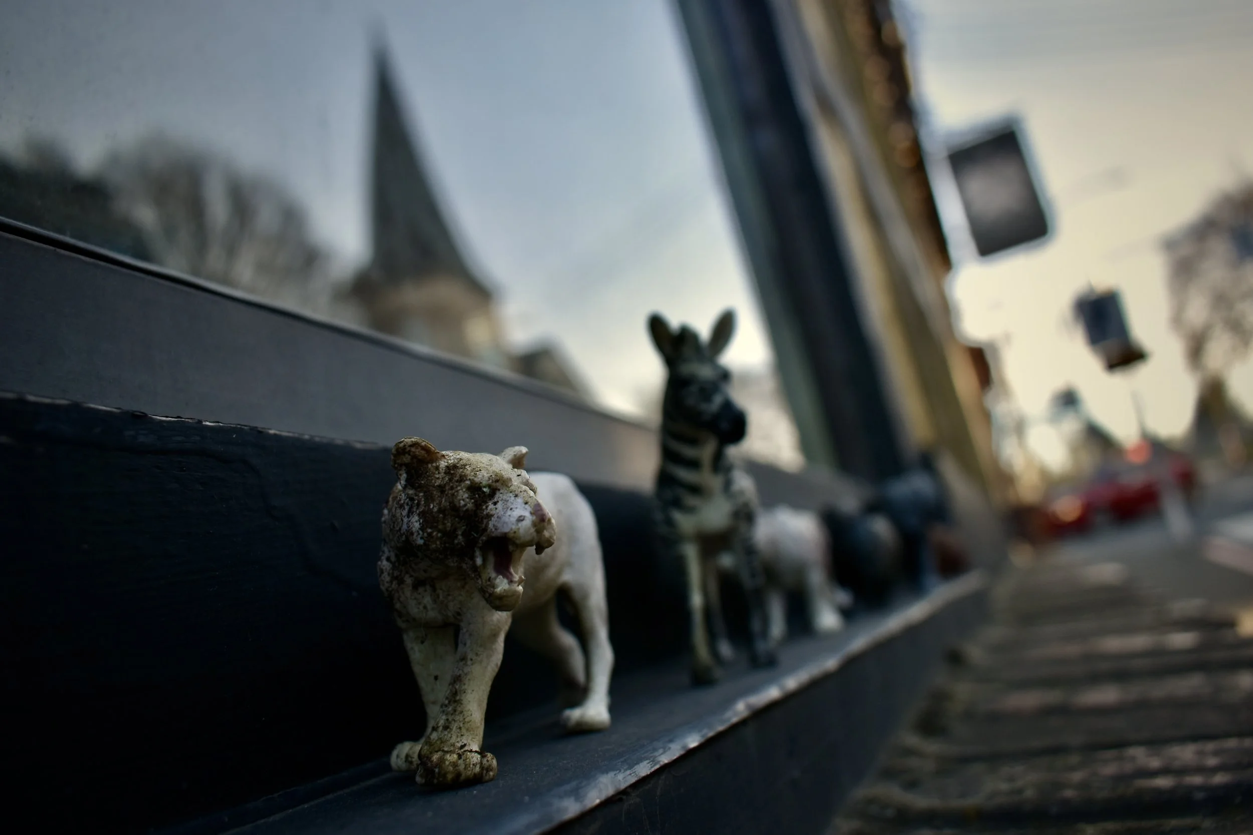 Close-up of small animal figurines, including a lion and a zebra, displayed on a windowsill outside.