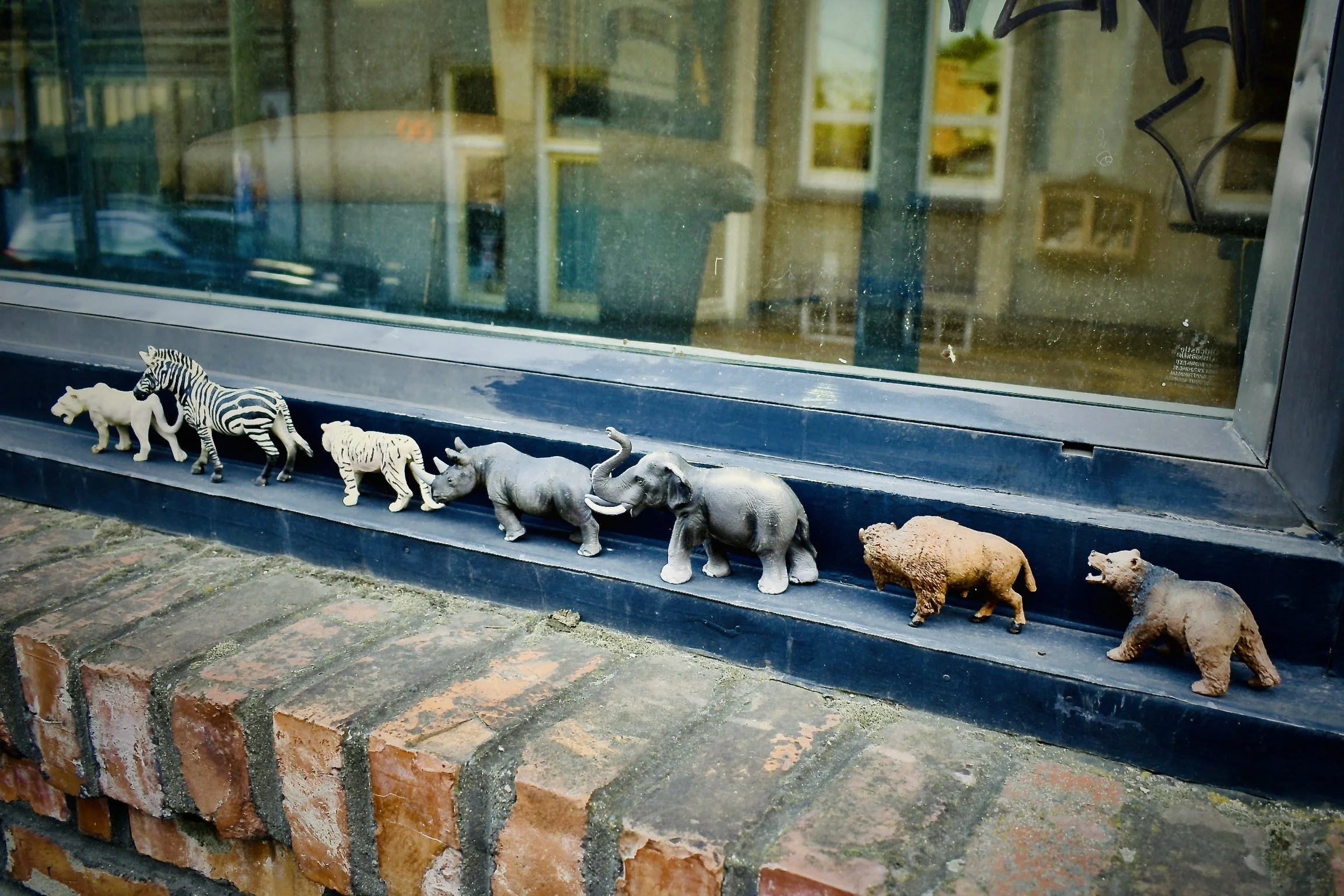 A row of small animal figurines, including a zebra, tiger, rhinoceros, elephant, hippopotamus, and bear, placed on a windowsill outside a brick building.