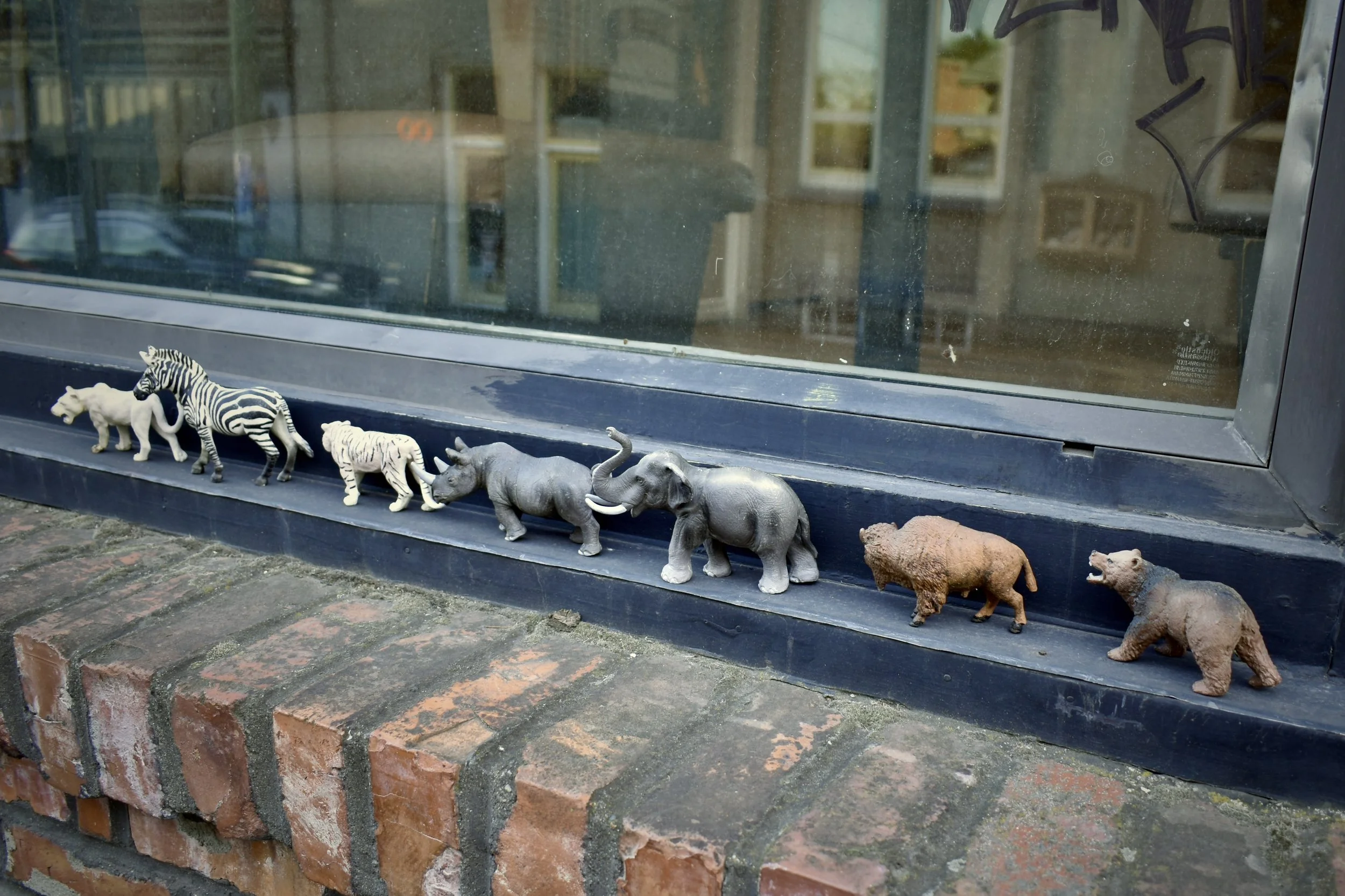 A row of small toy animal figurines including a zebra, tiger, rhinoceros, elephant, hippopotamus, and bear, placed on a windowsill outside a building with brickwork and a window.