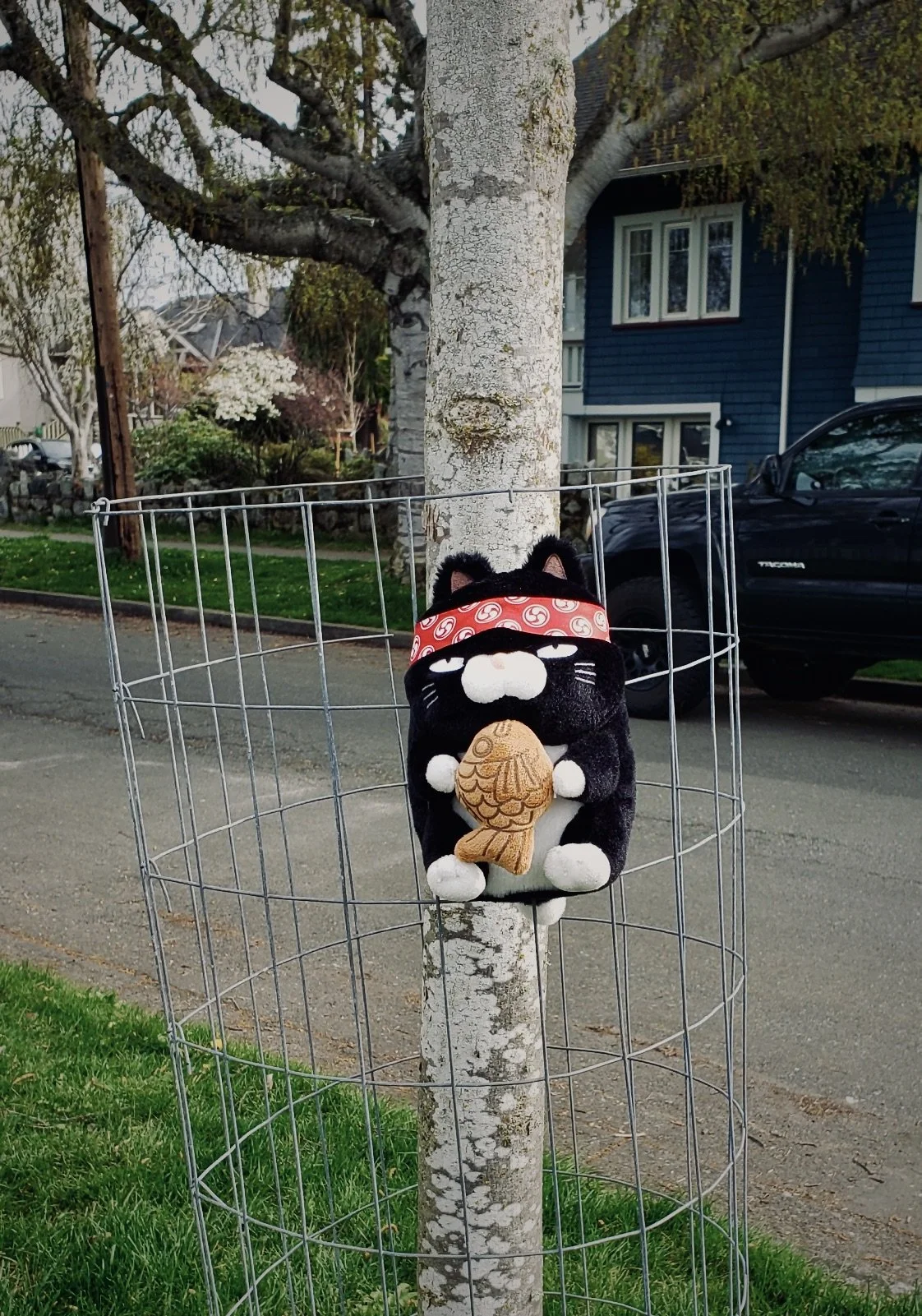 Black plush cat wearing a red bandana on a tree, holding a fish-shaped object from a wire fence.