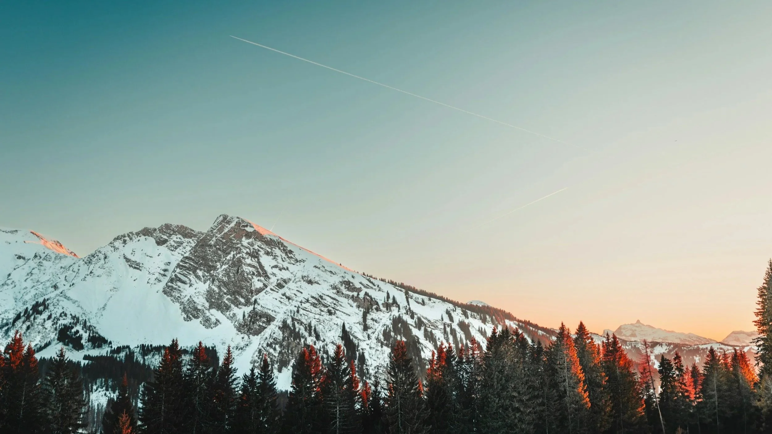 Snow-covered mountains with pine trees in the foreground, during sunset with a clear sky