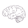 mINDflo