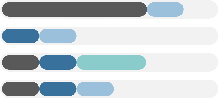A graphic of four stacked, horizontal progress bars, representing progress for each ThyrOxy program.