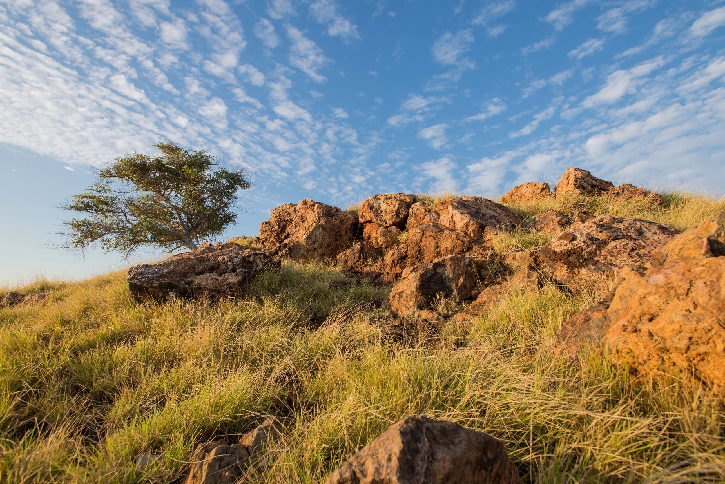 Real Life Inspiration Behind&nbsp;Long Stay at Ryan’s Waterhole