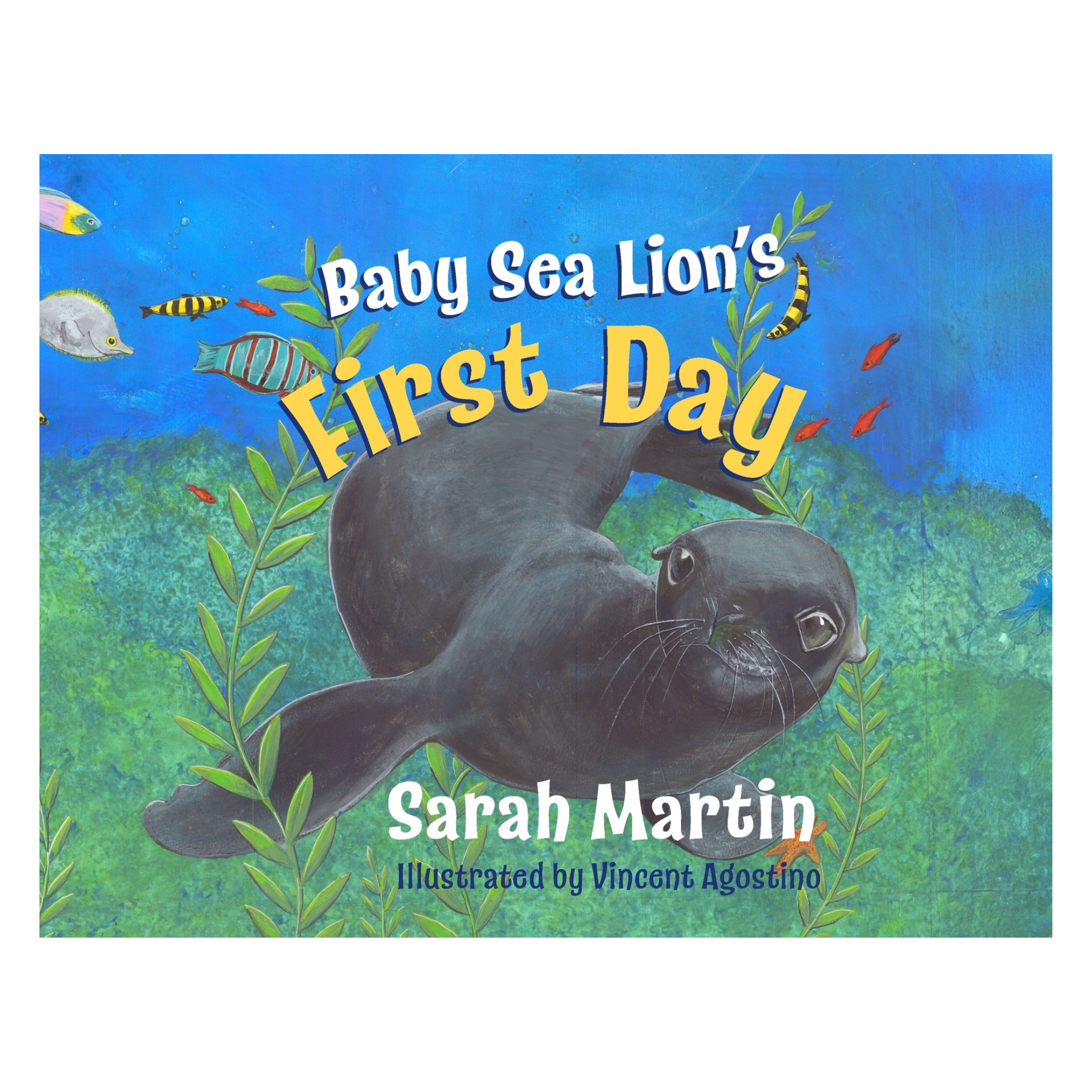 BabySeaLion_FCover_Rev2.png