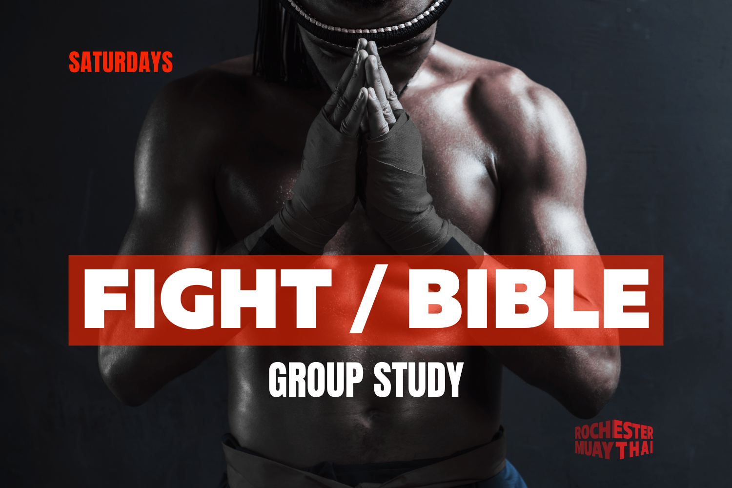 Bible / Fight study