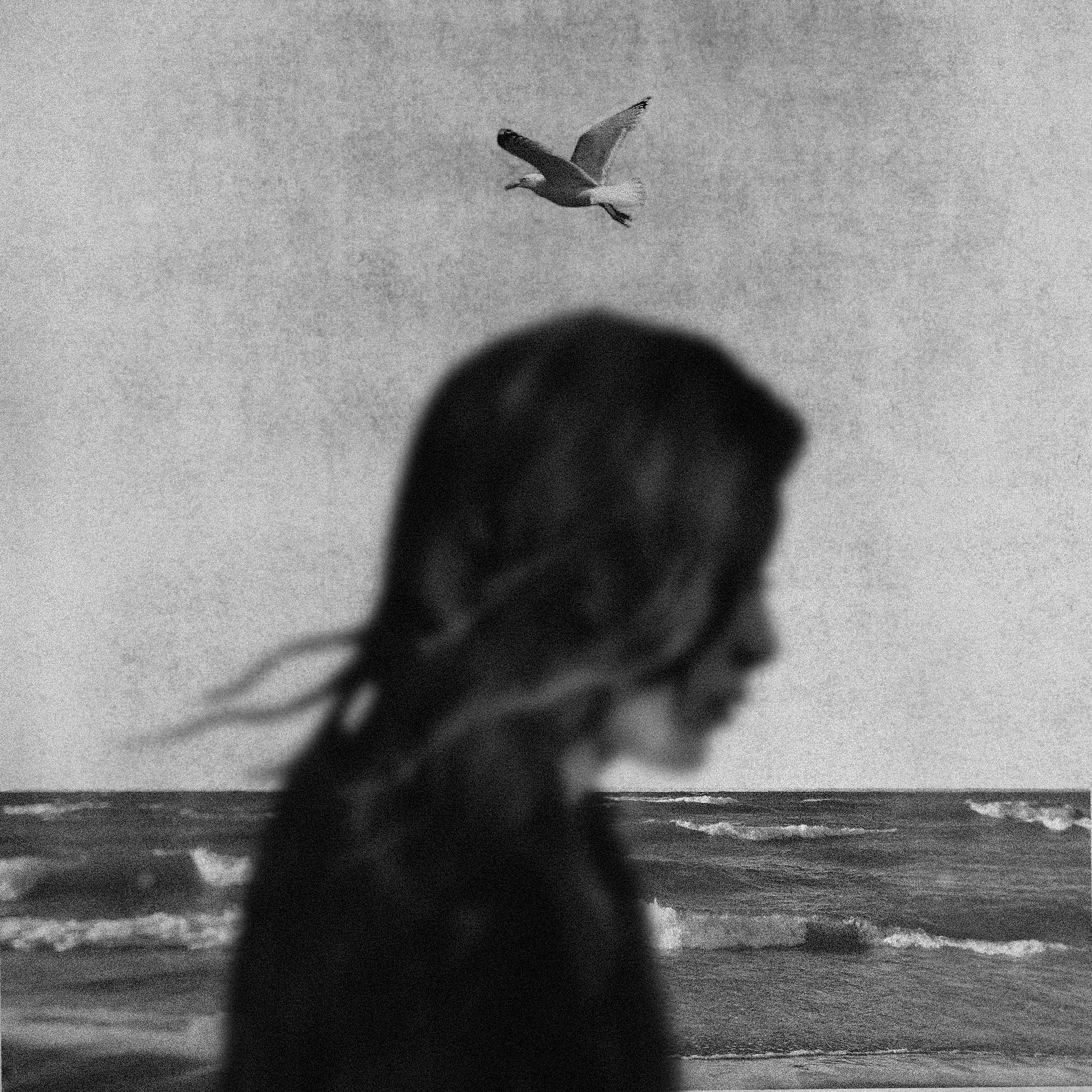 Untitled_Artwork 8.jpg