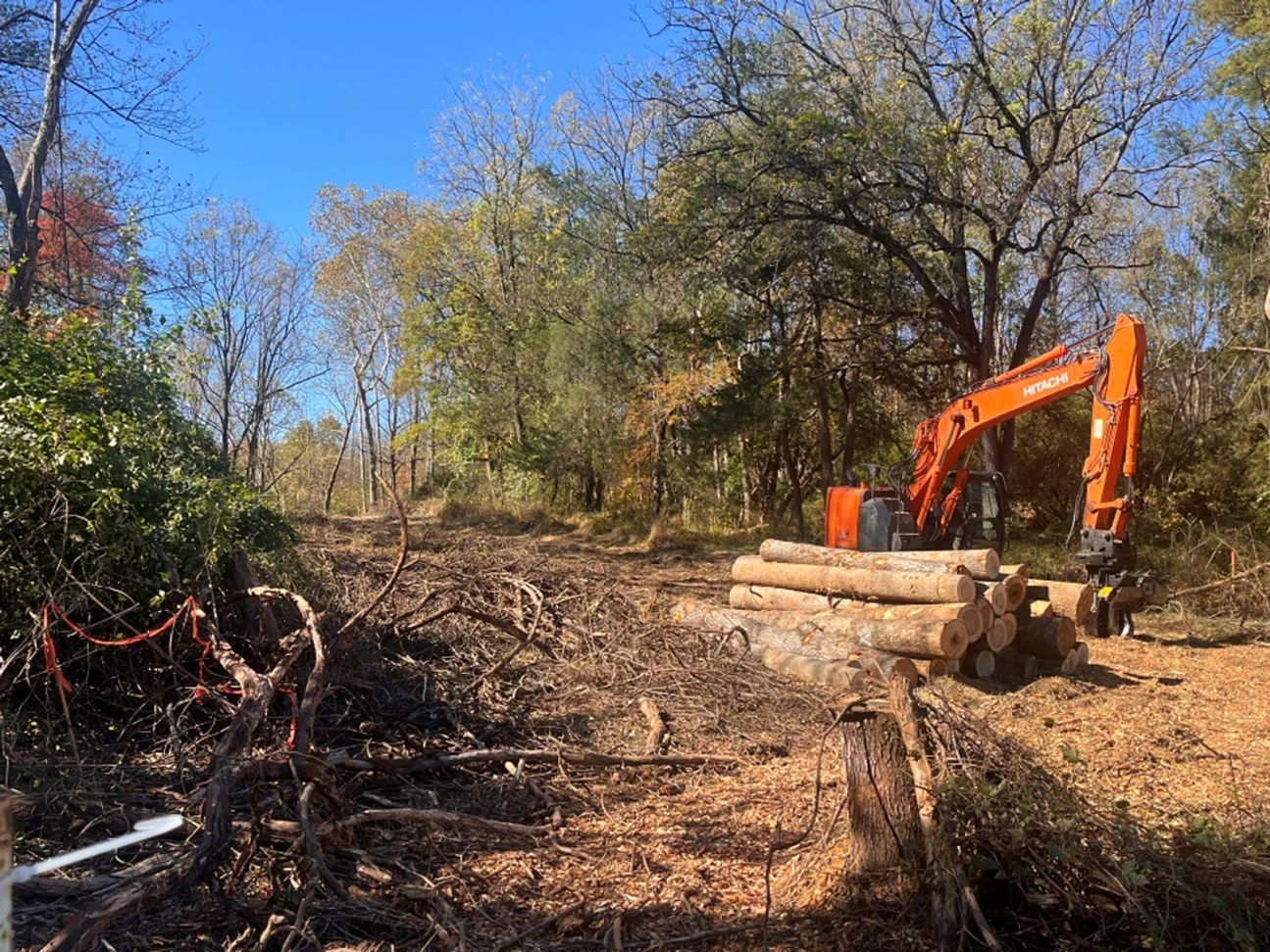 Park Trail Clear-Cutting Sparks Community Pushback After Years of Silence