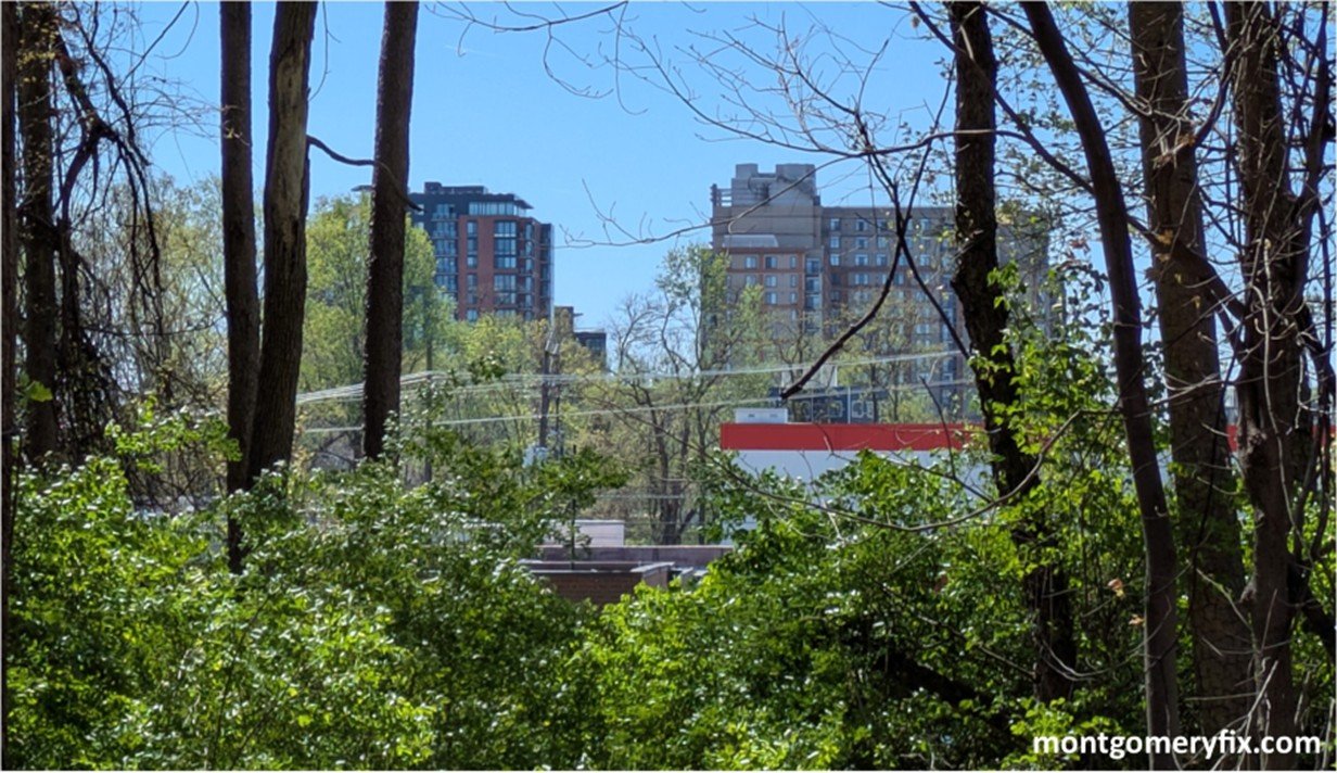 The Lawless Forests of North Bethesda