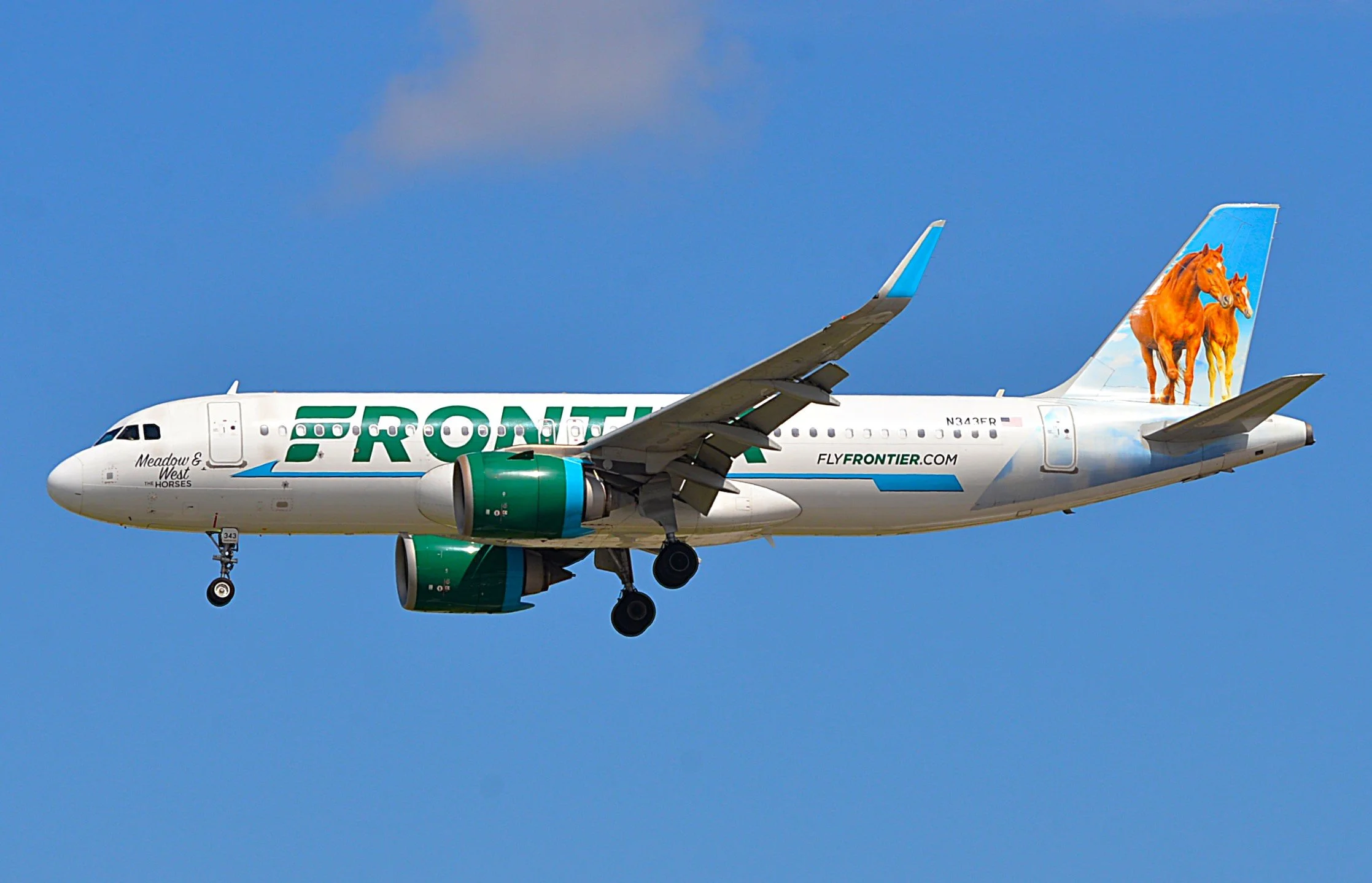 N343FR A320 MEADOW-WEST HORSES ORD  28C