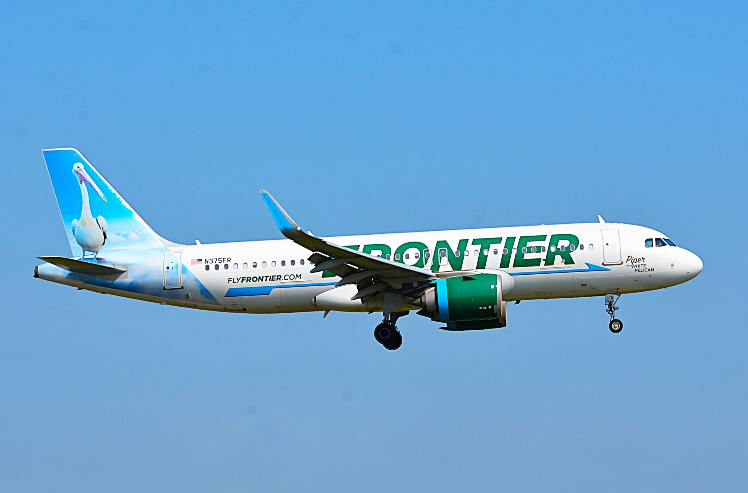 N375FR PIPER WHITE PELICAN ORD 10C