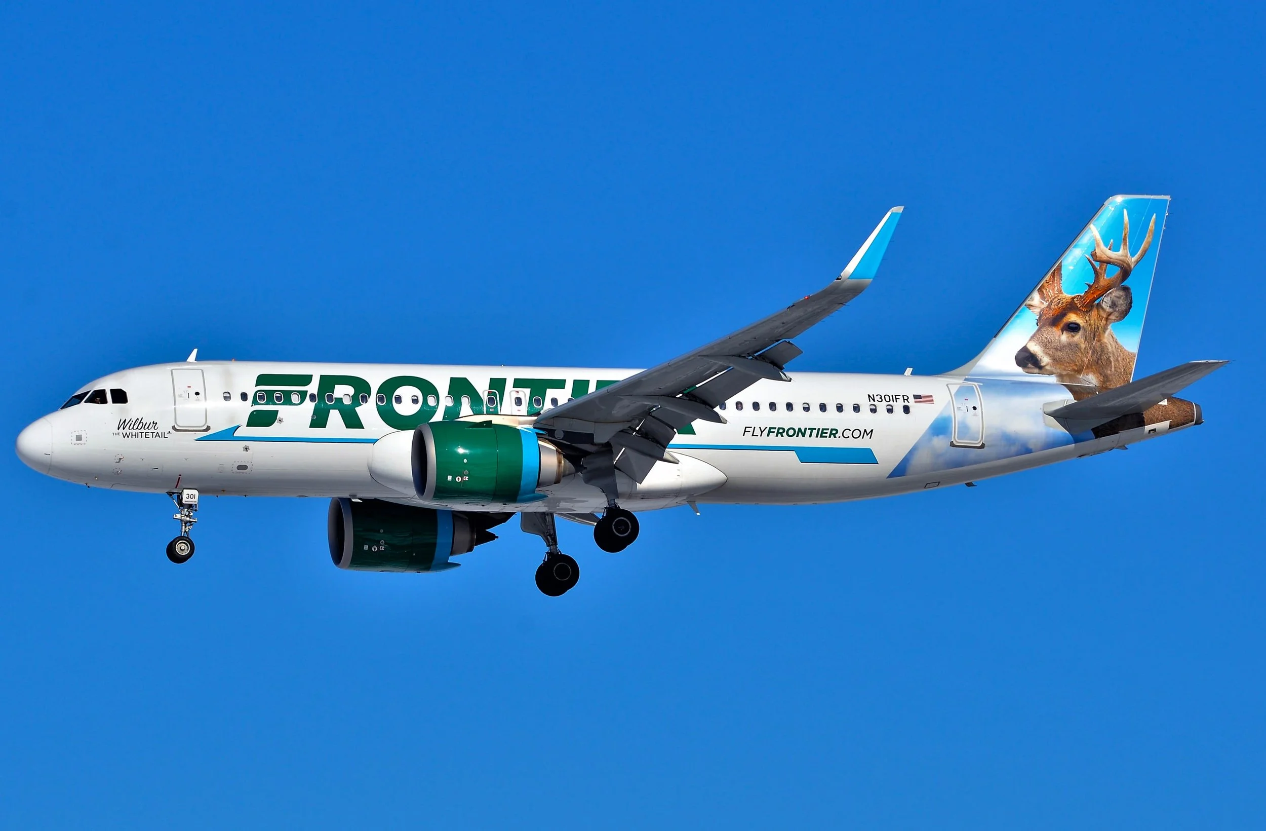 N301FR WILBUR WHITETAIL A320 ORD 28C








