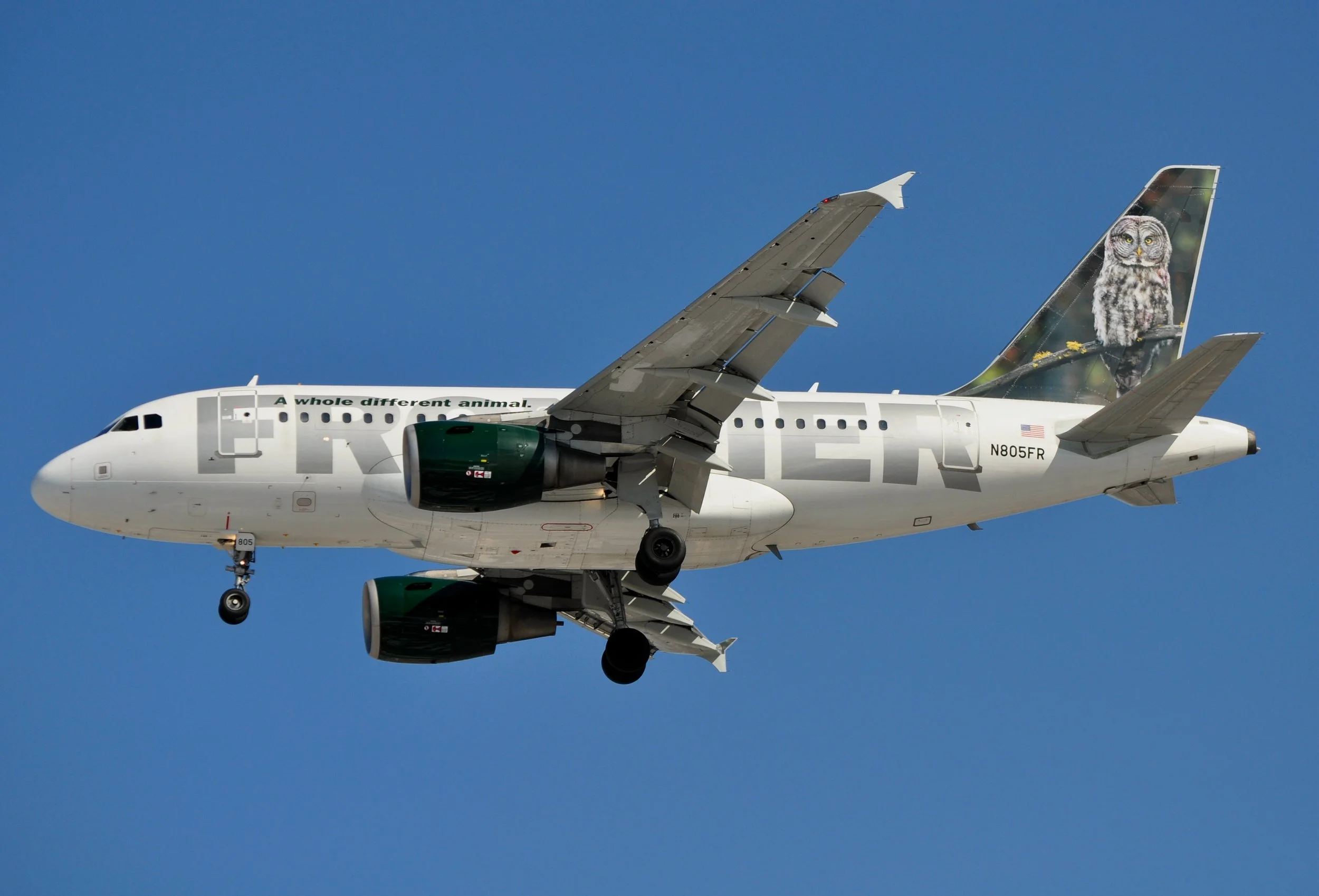 N805FR A319 OWL MDW 31C