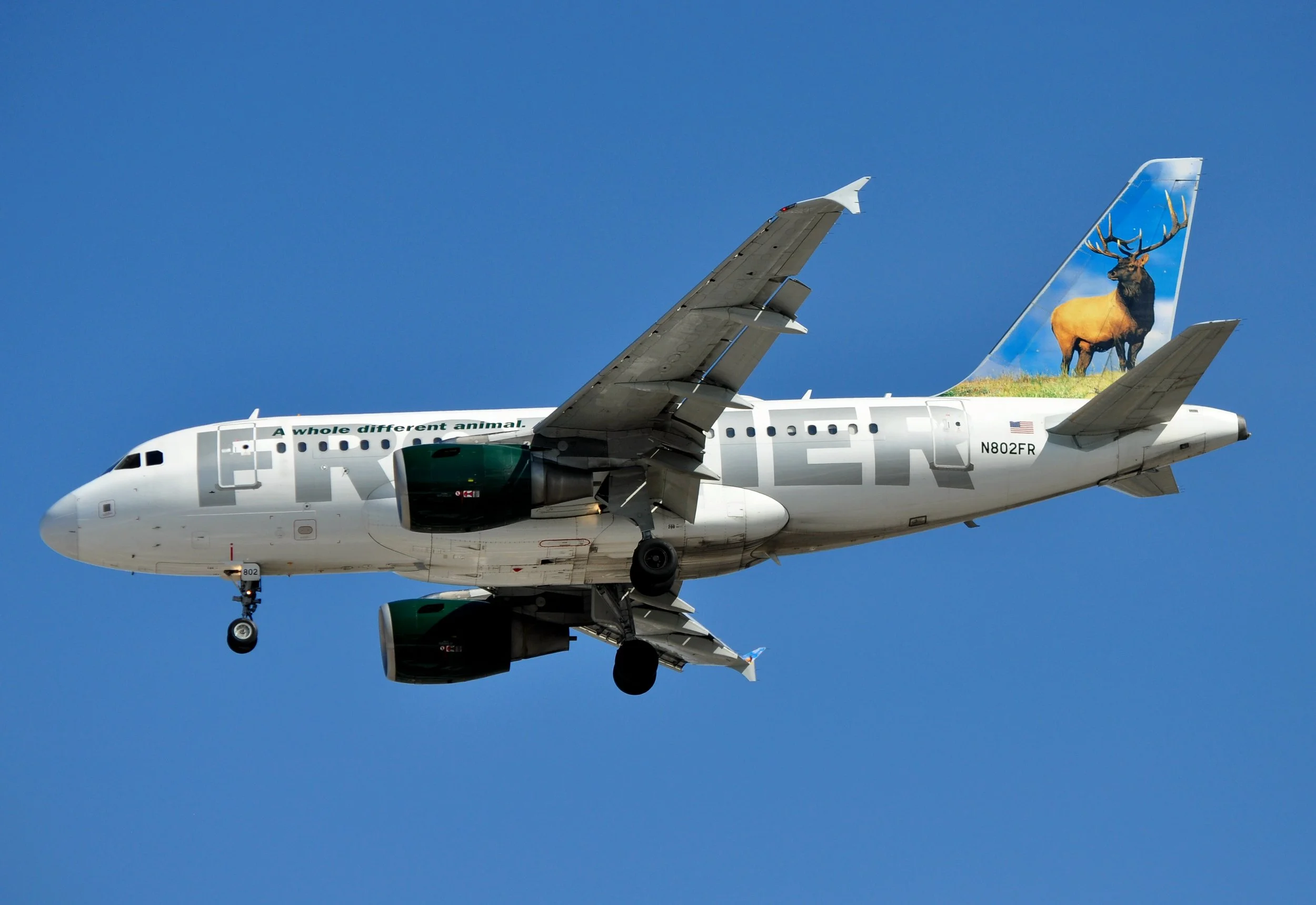 N802FR A319 ELK MDW 31C