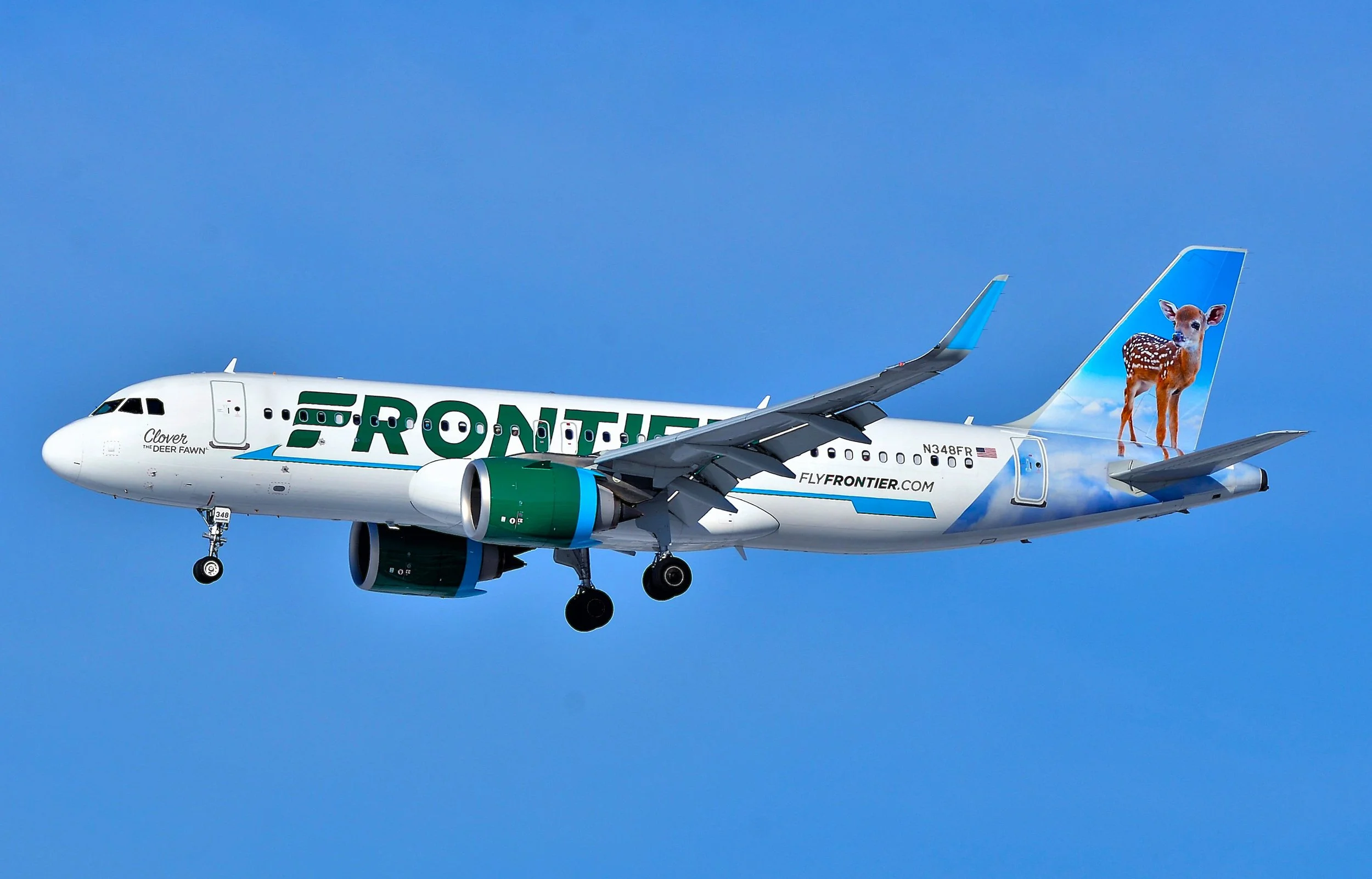 N348FR A320 CLOVER DEER FAUN ORD 28C