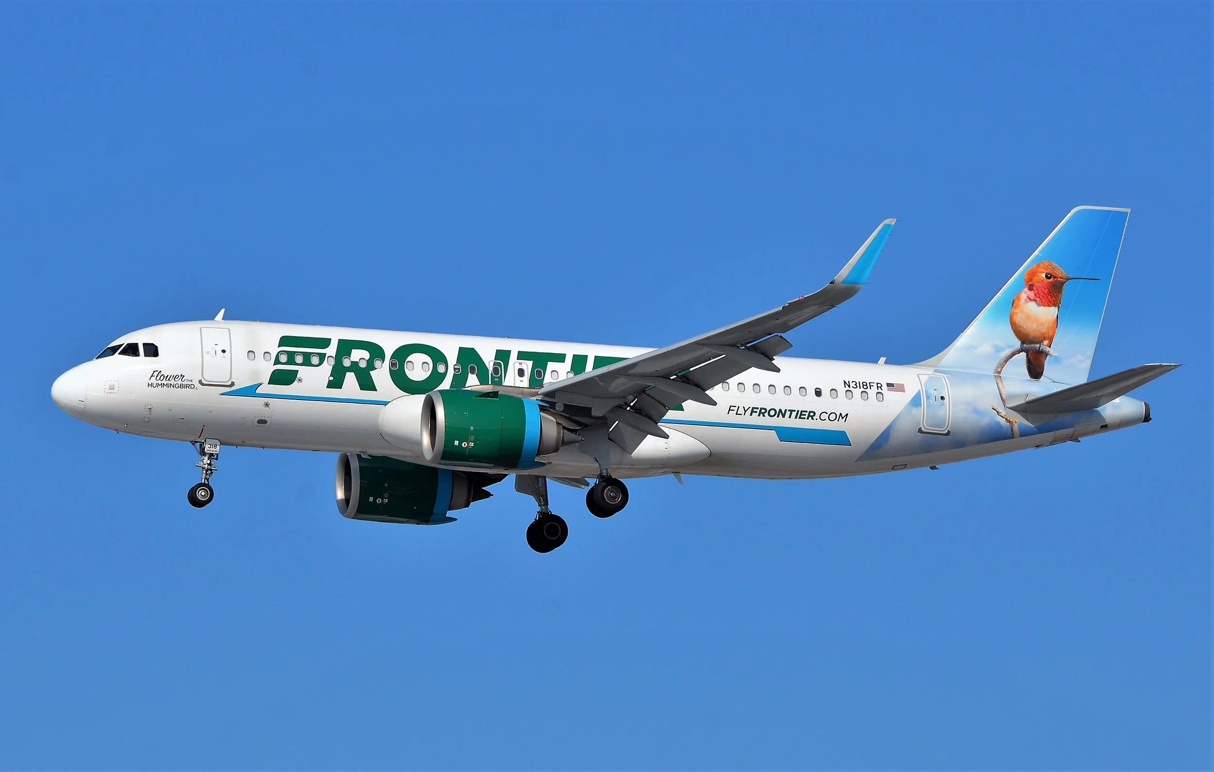N318FR FLOWER HUMINGBIRD ORD ORD 28C